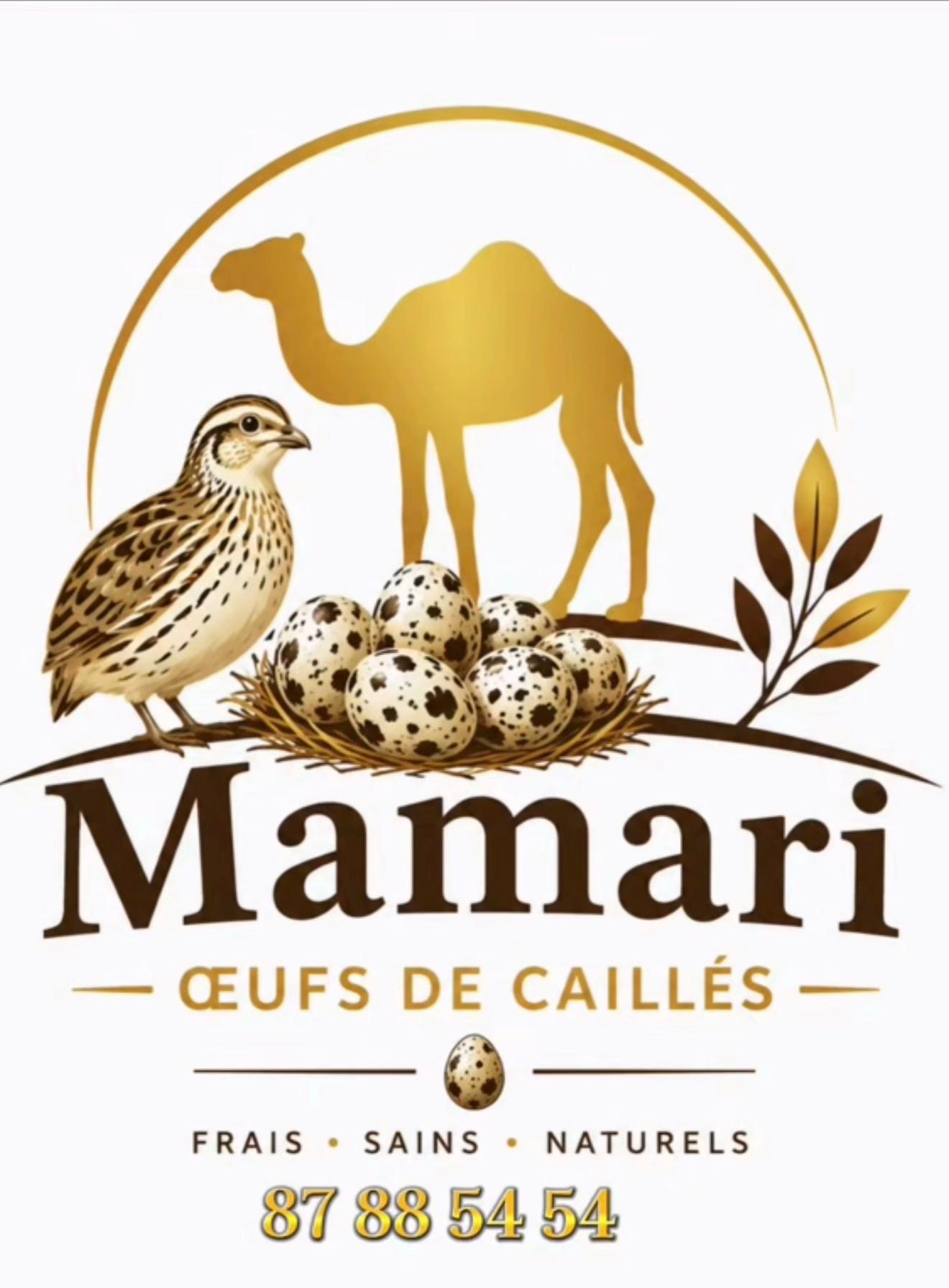 @Tourgoudi 235