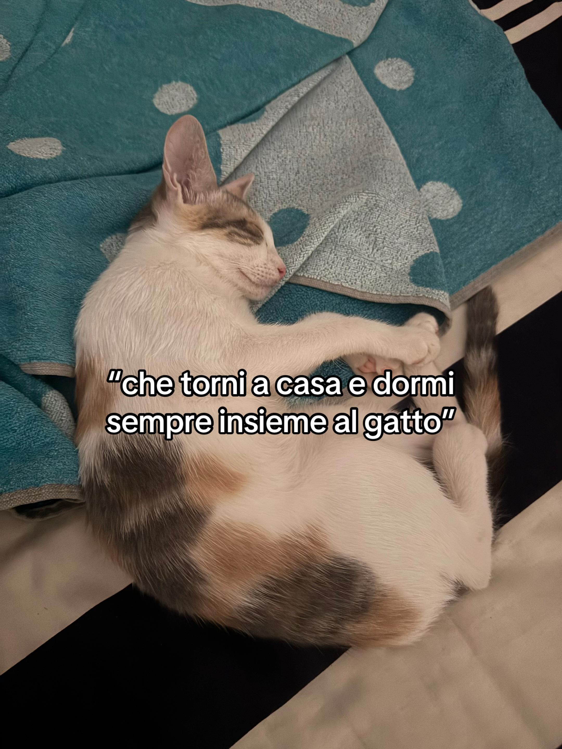 @susy__