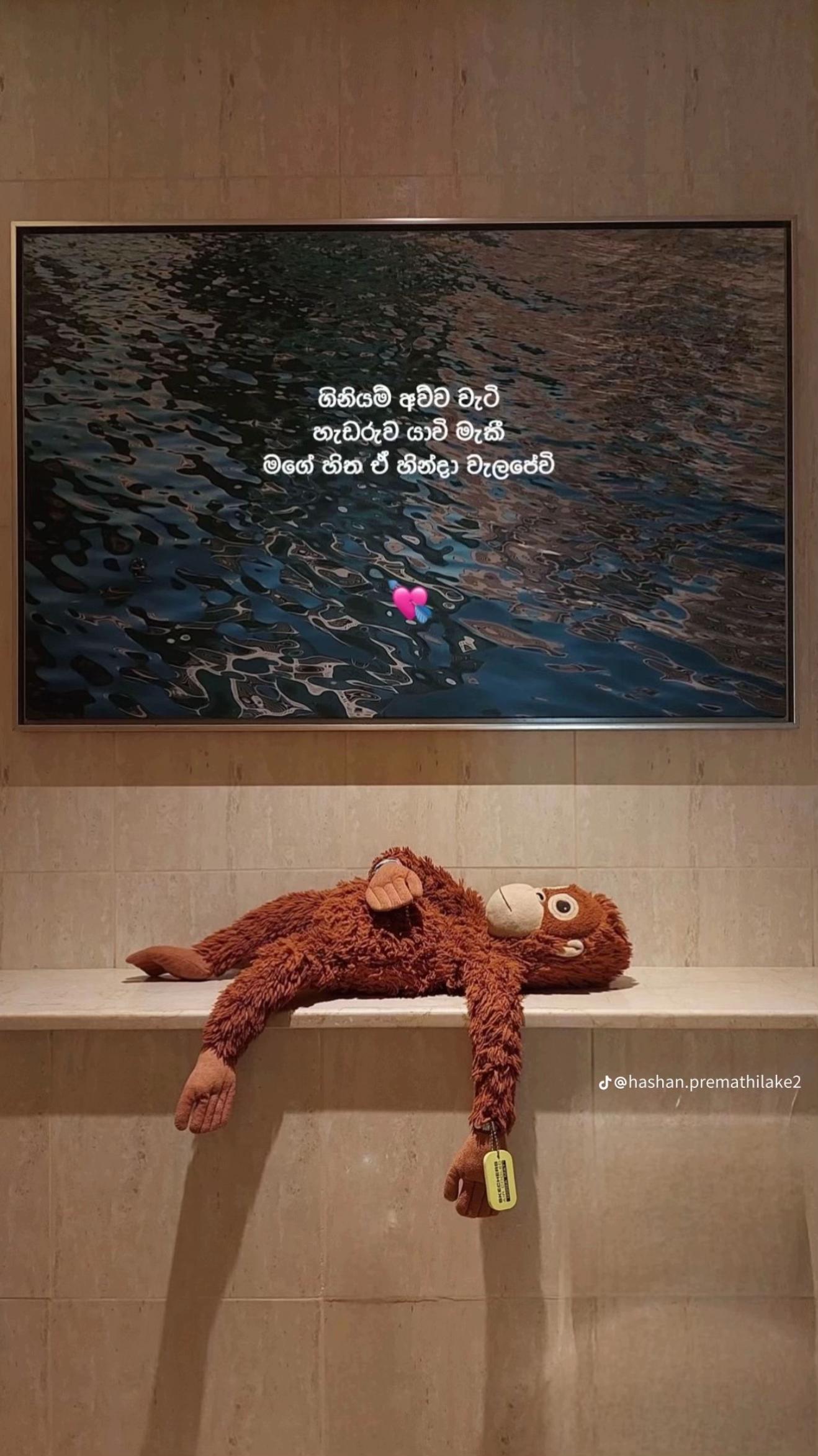 @Pathu_N🧿🌸