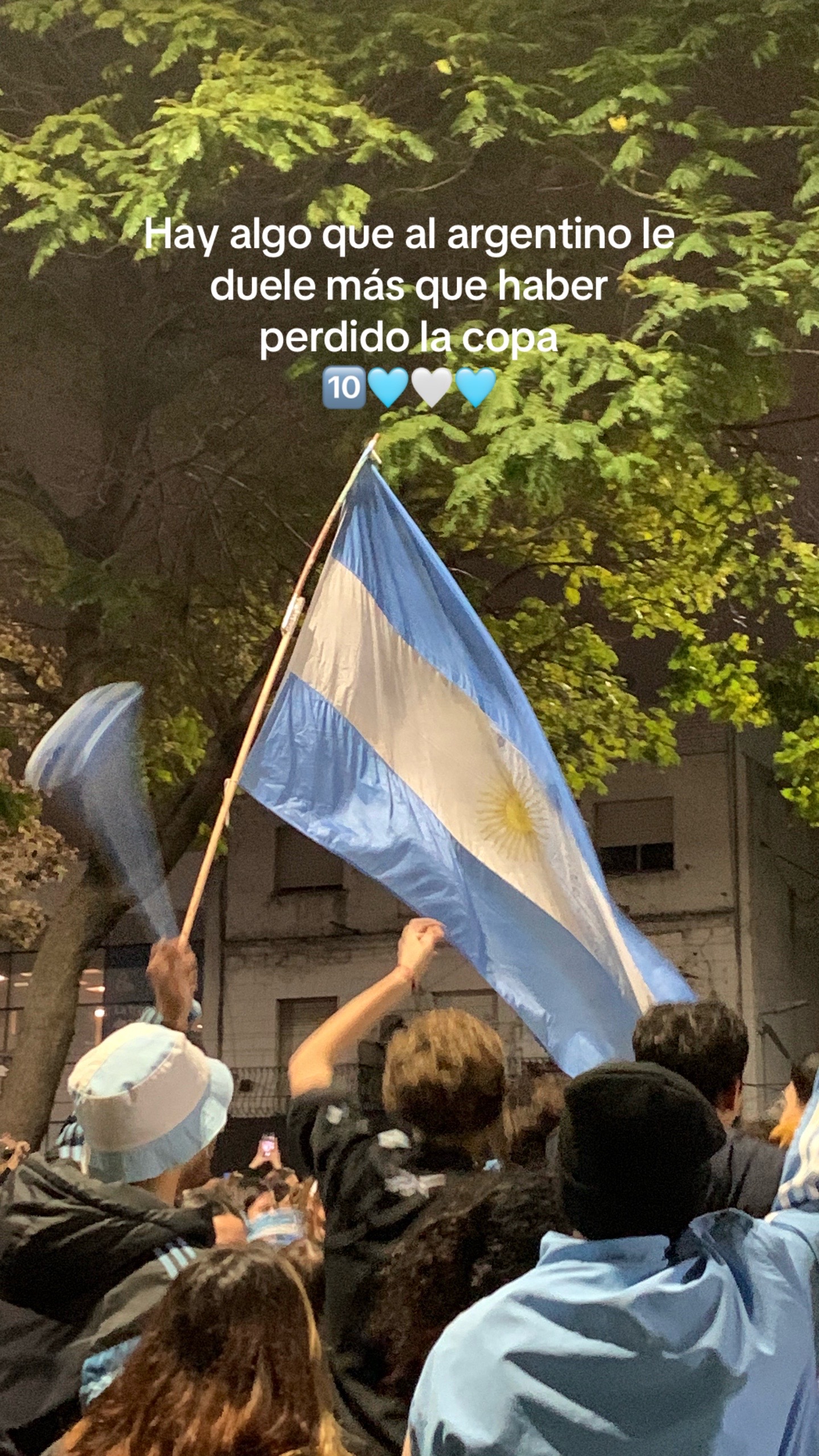 @Viole.campo