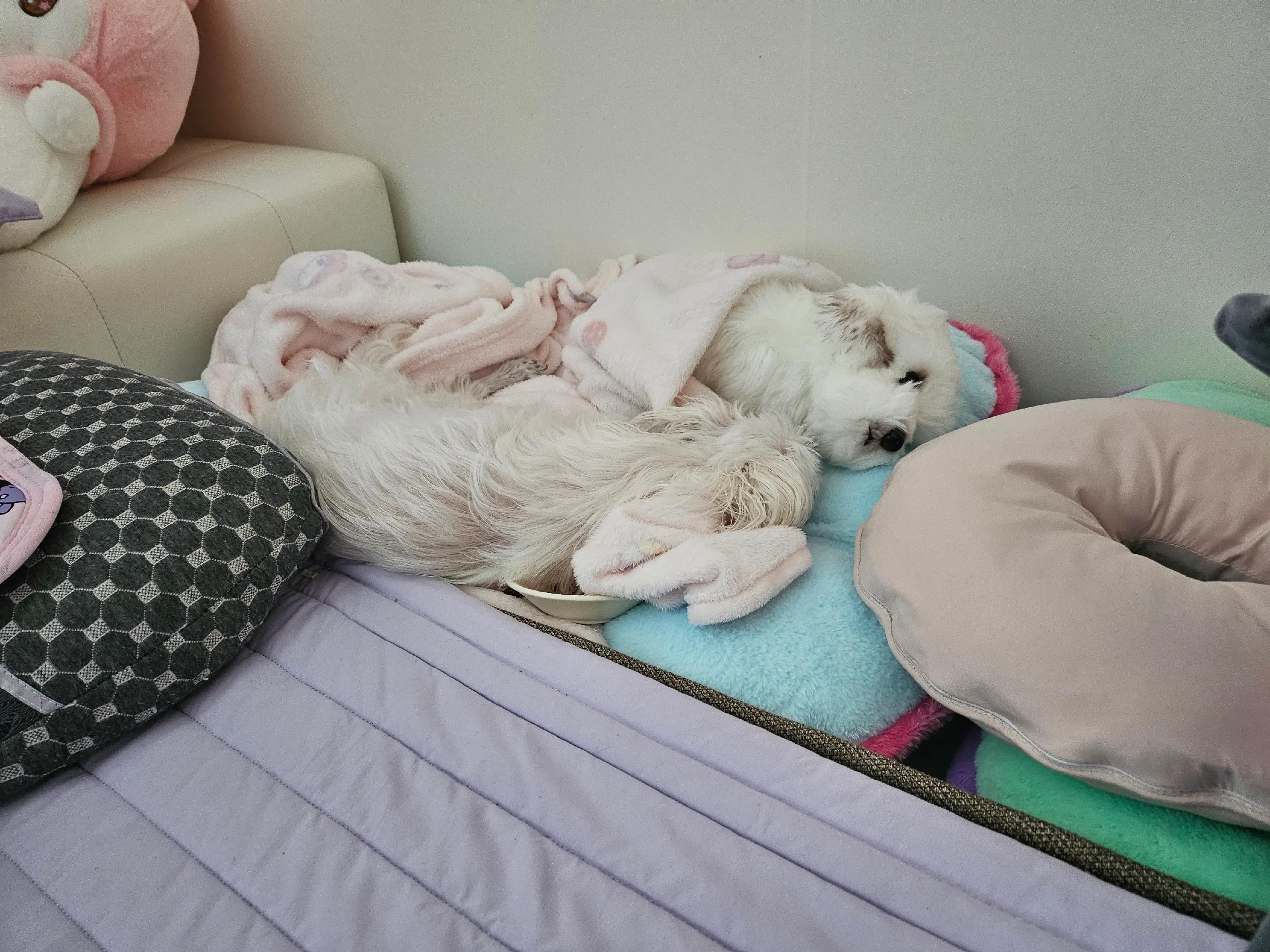 @아콩맘♡