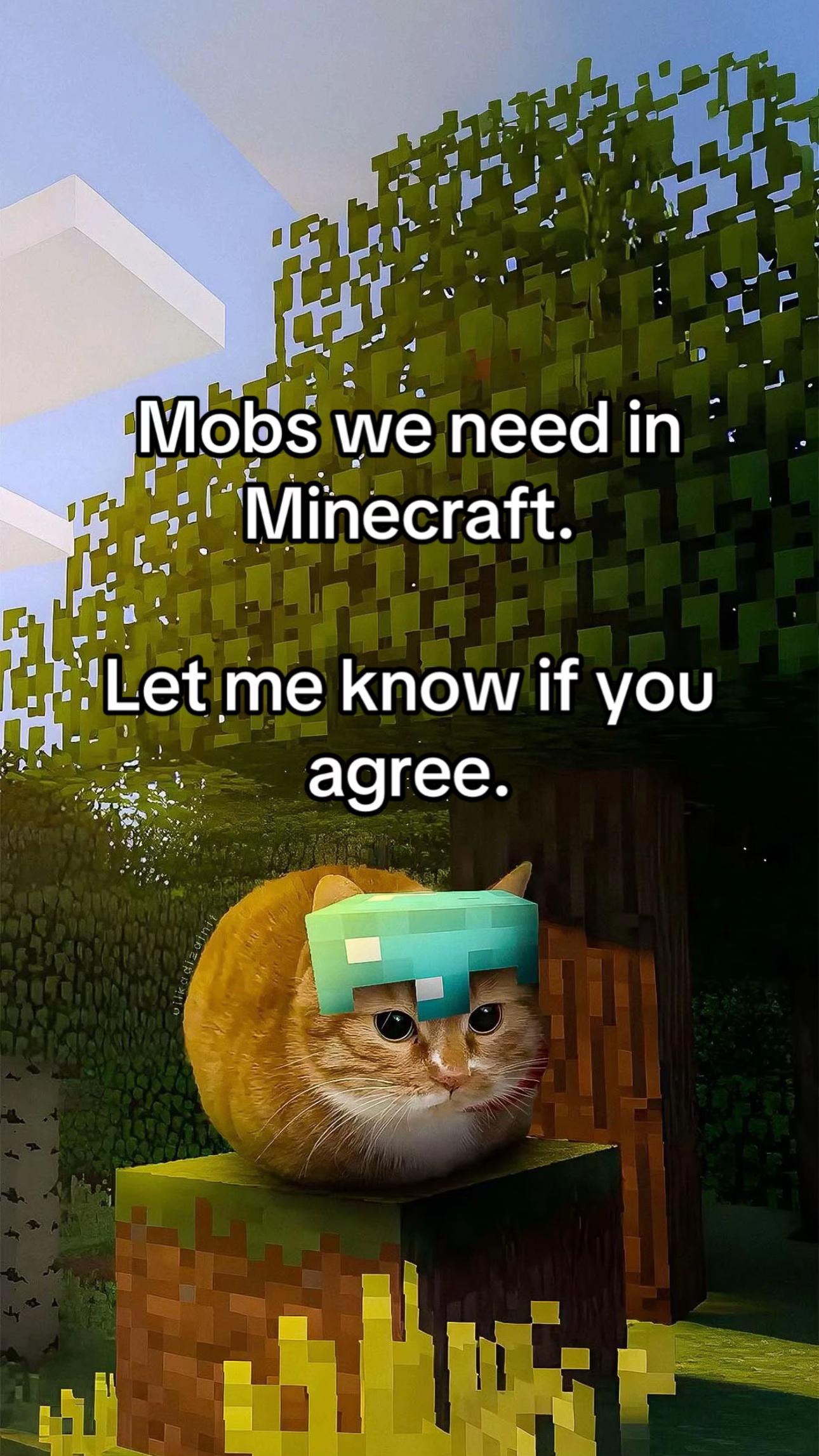 @Minecraftdailyy