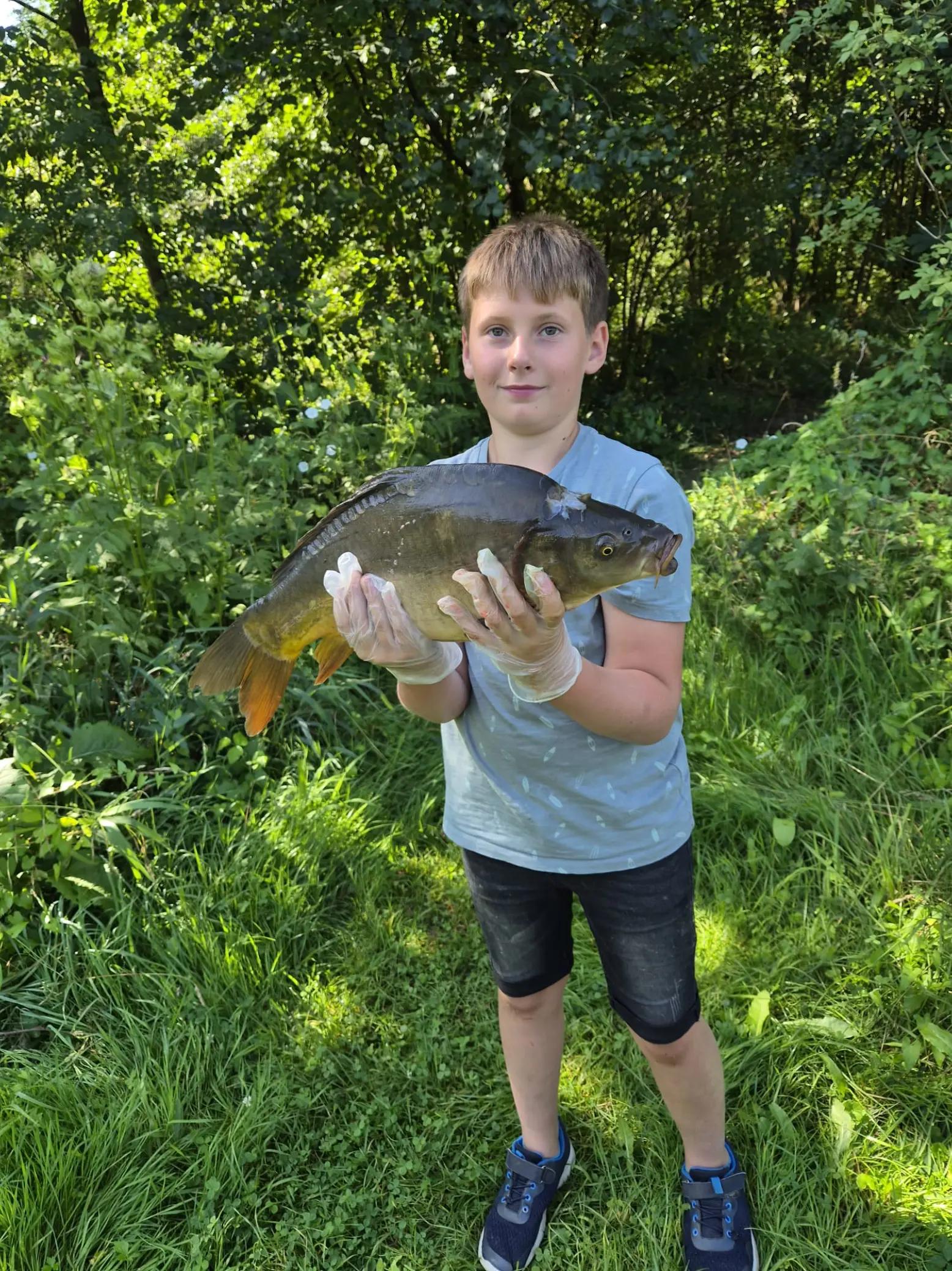 @jeanettenickel