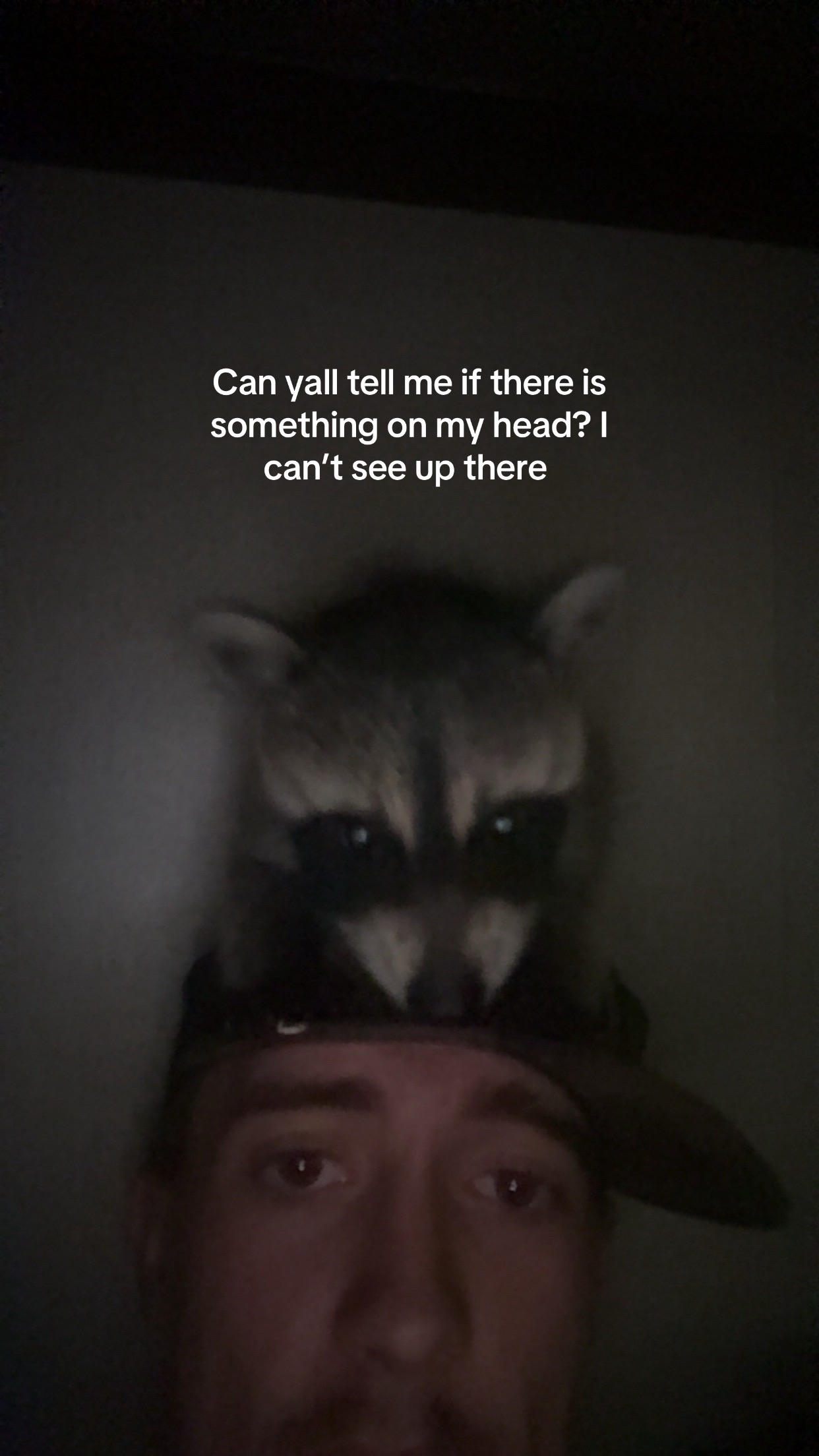 @streck5.3