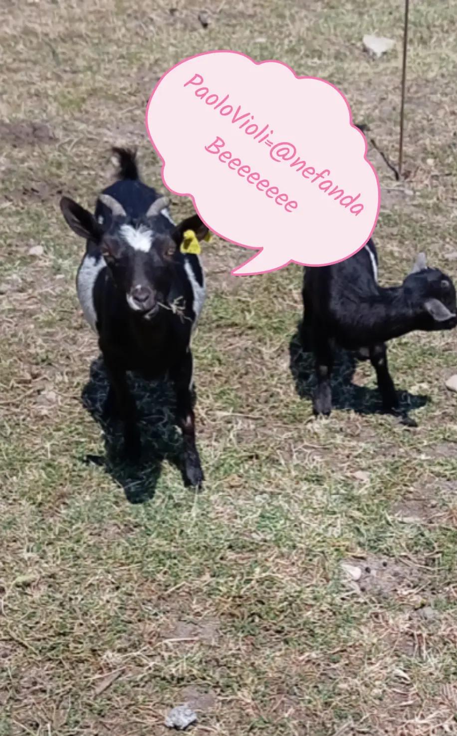 @Raffy si è rotta i........