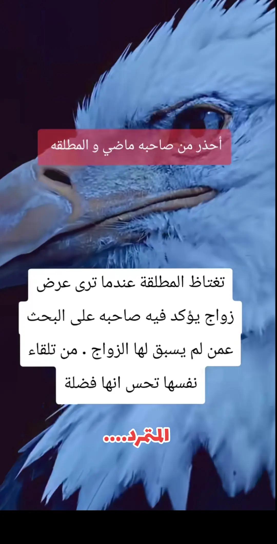 @المتمرد....