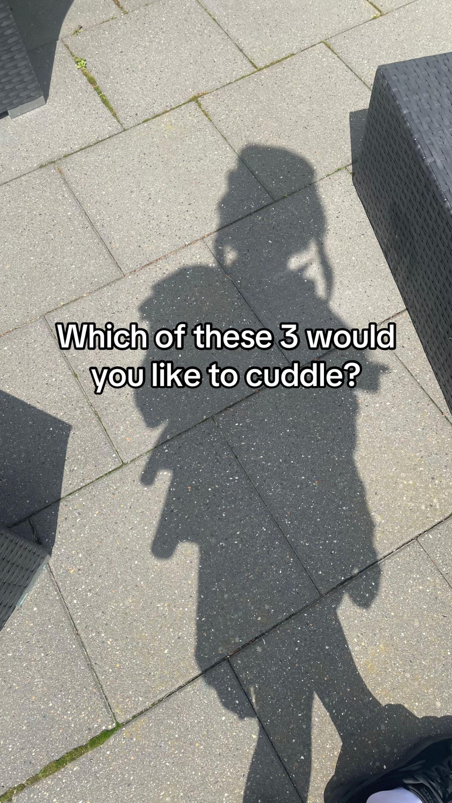 @Moonlit.Femboy