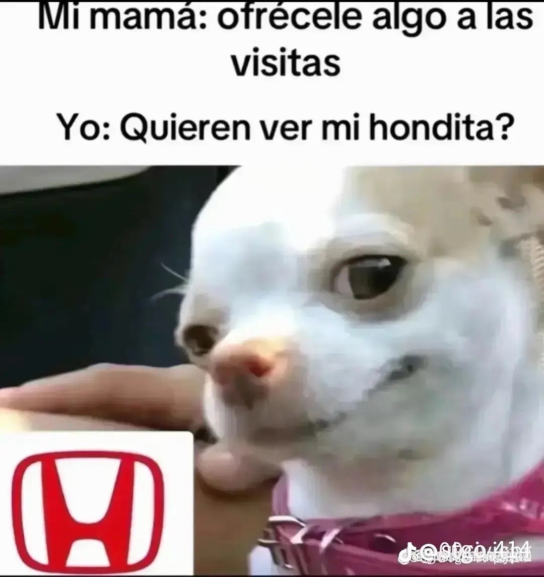 @Osvi