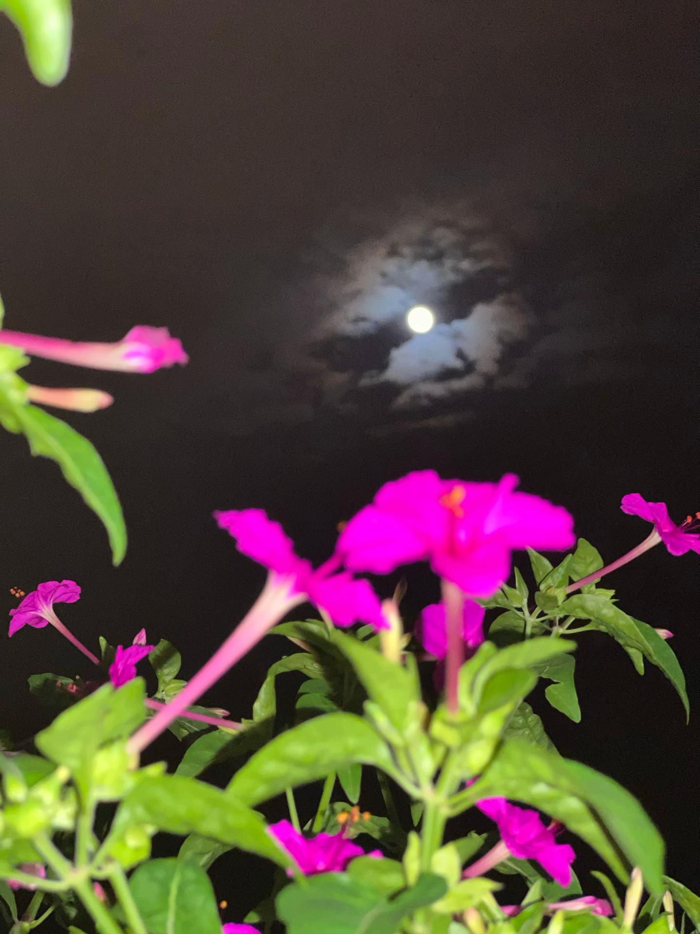 @Sidhane kanxa khadka