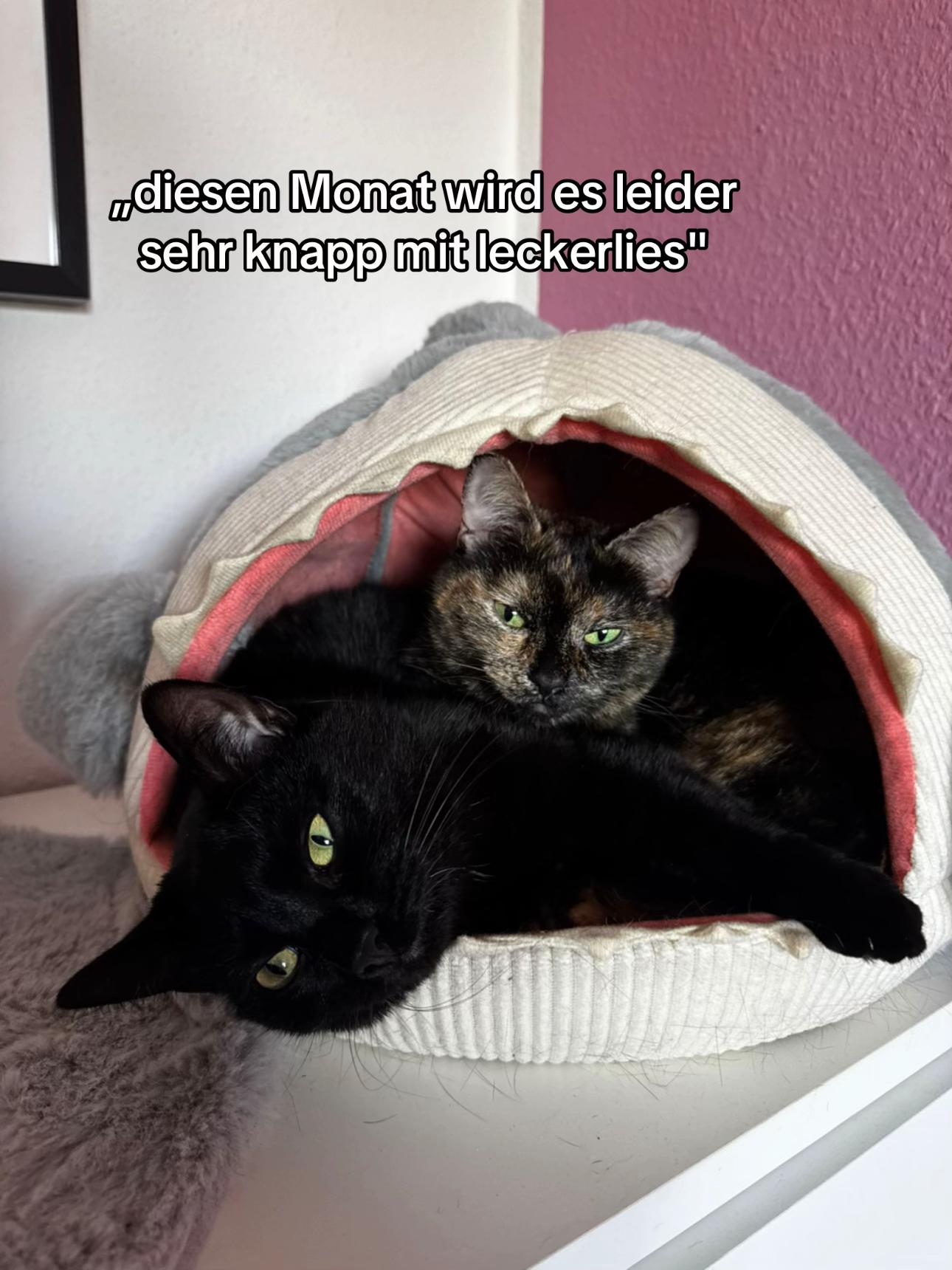 @Nala & Simba