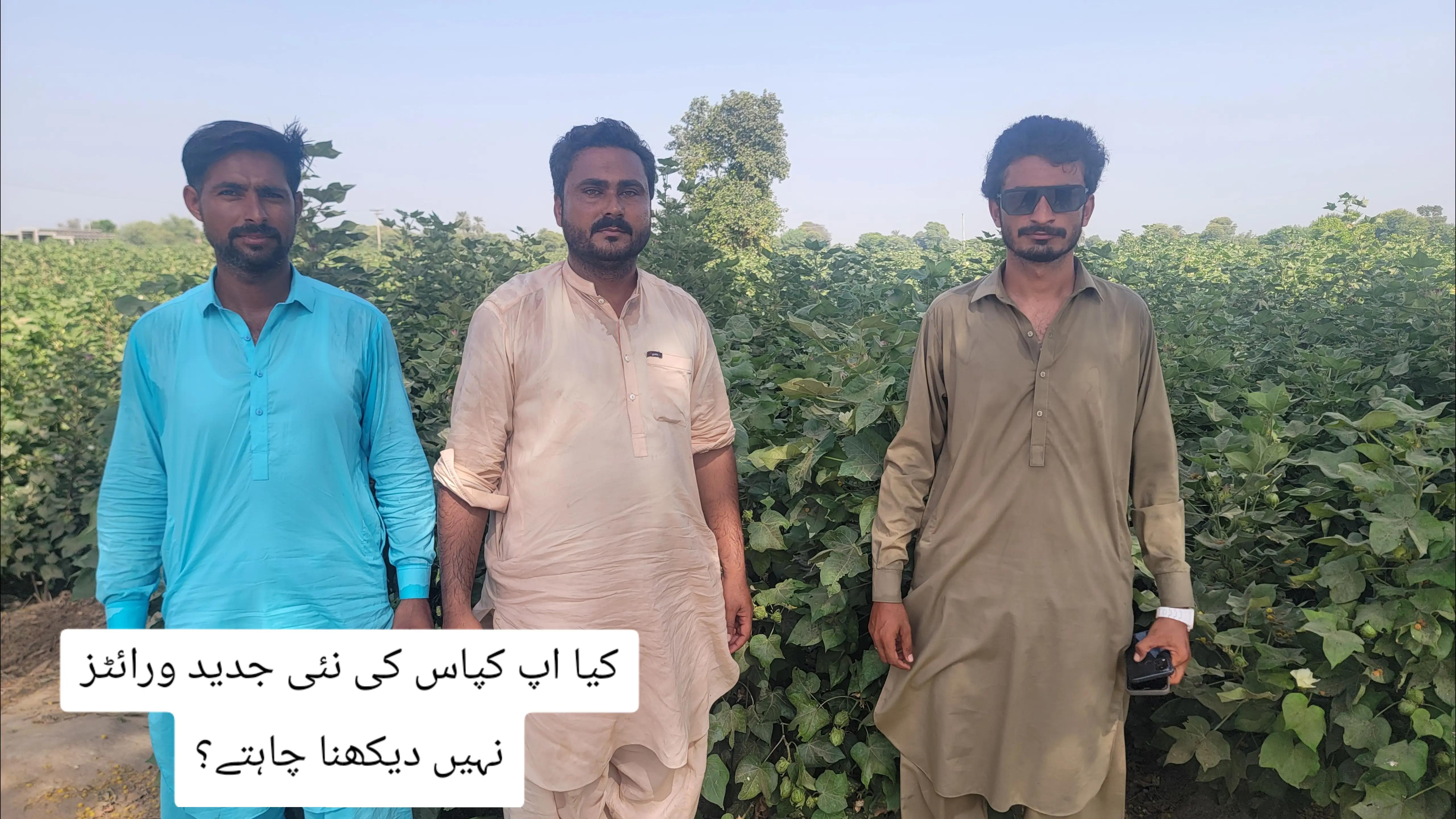@Zulqarnain chattha