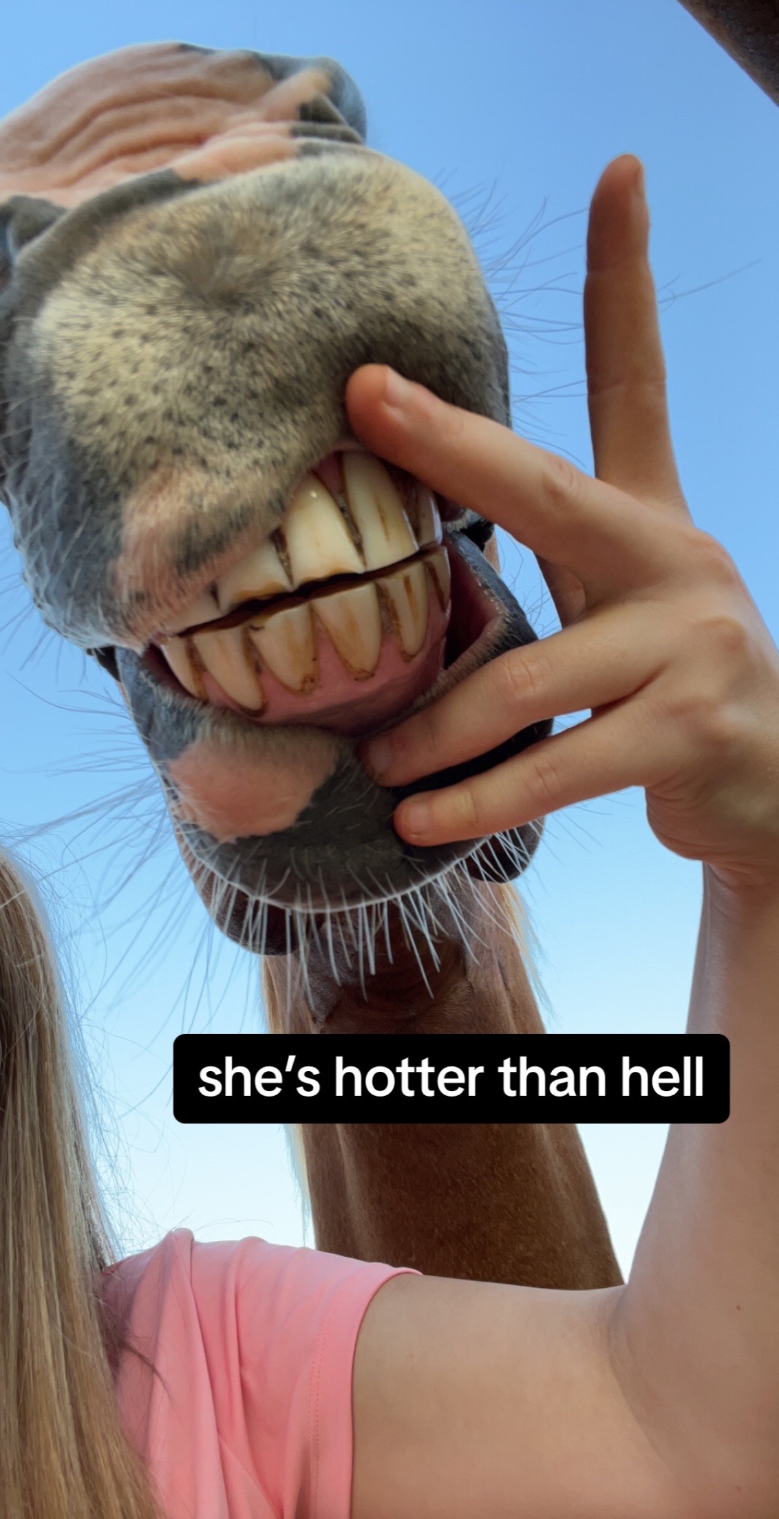 @Hannah⚡️
