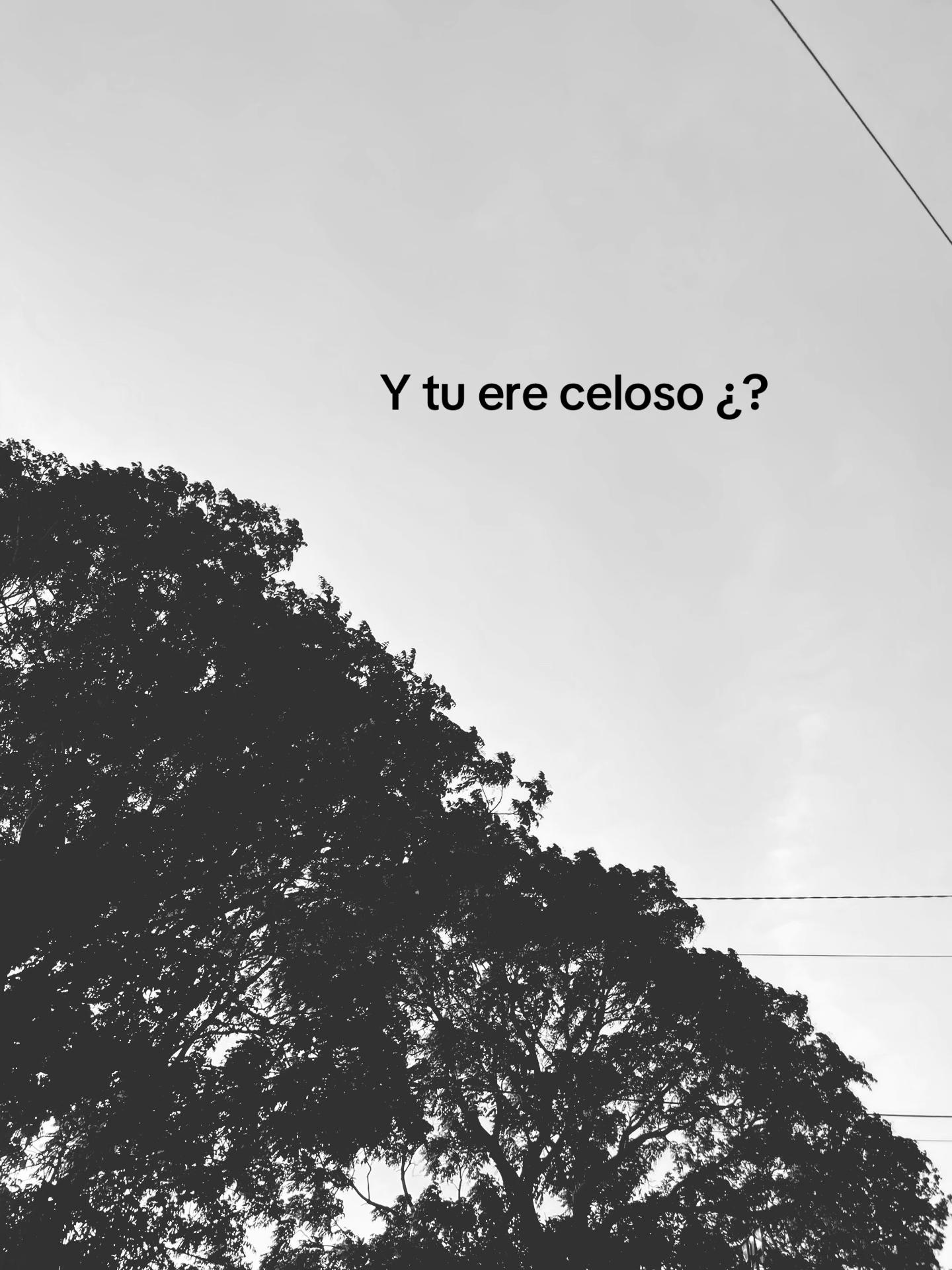 @Kenedy 🦇