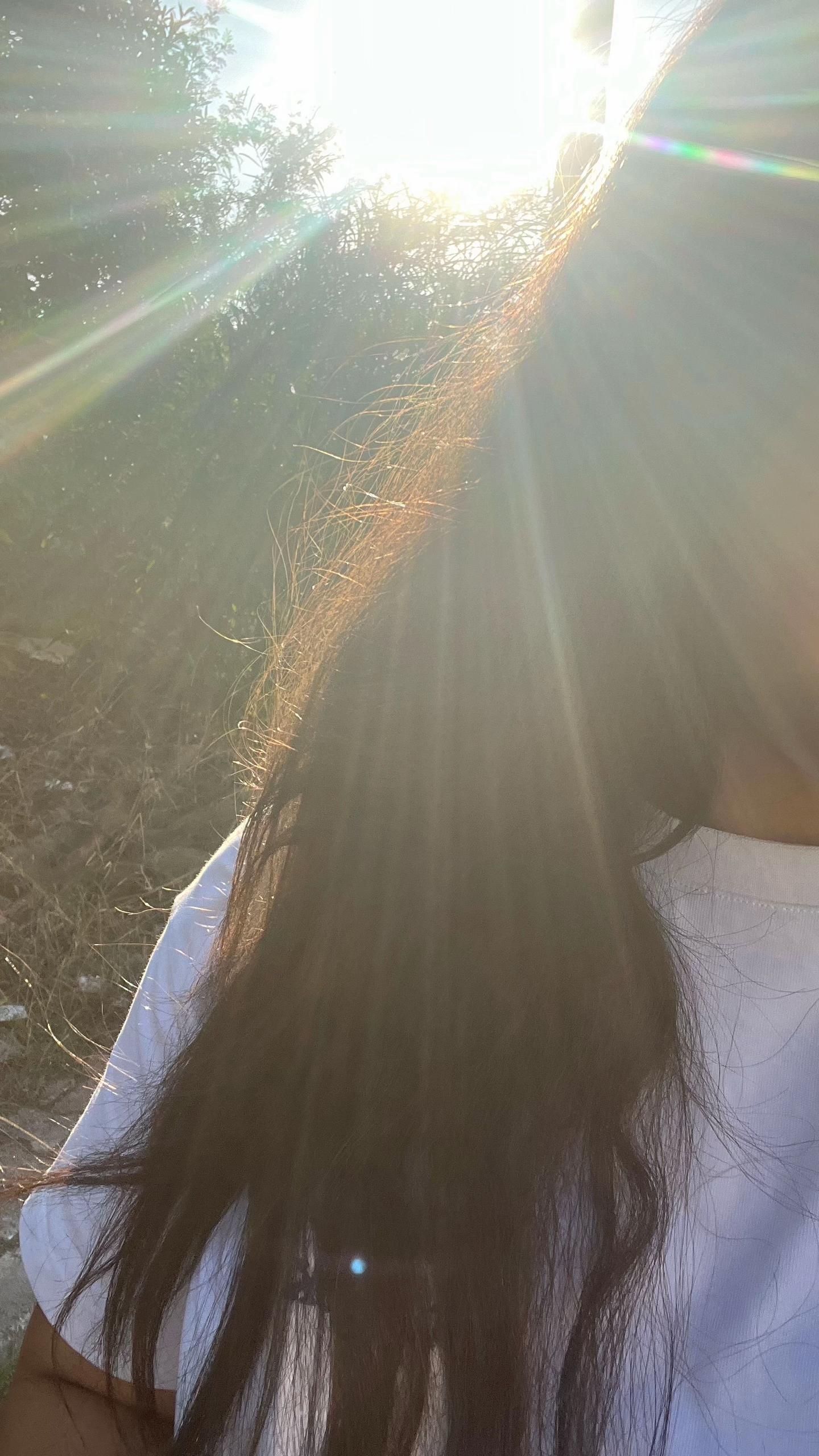 @Lily🐻🦢