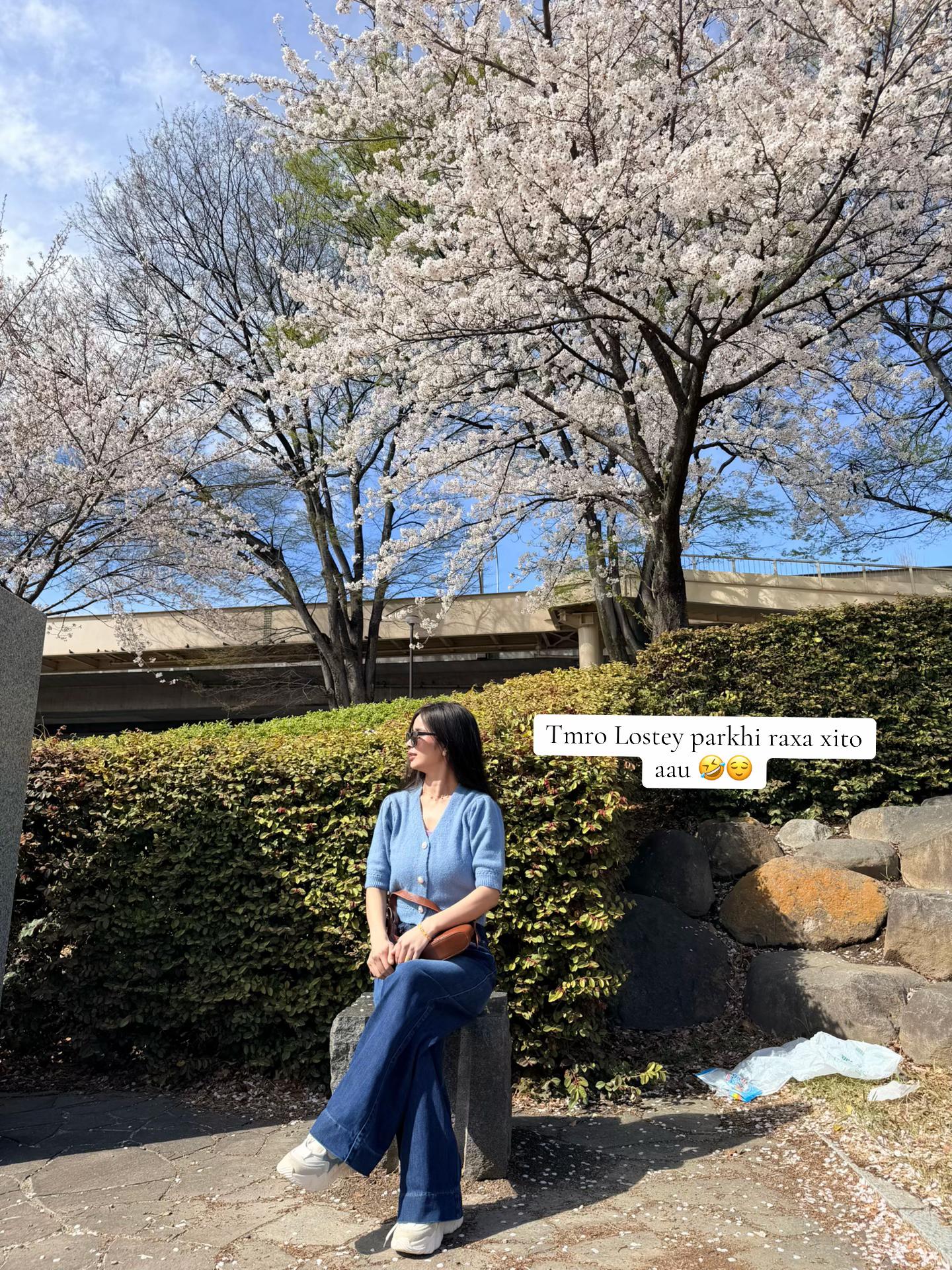 @Lo_s^teey✨🕊️