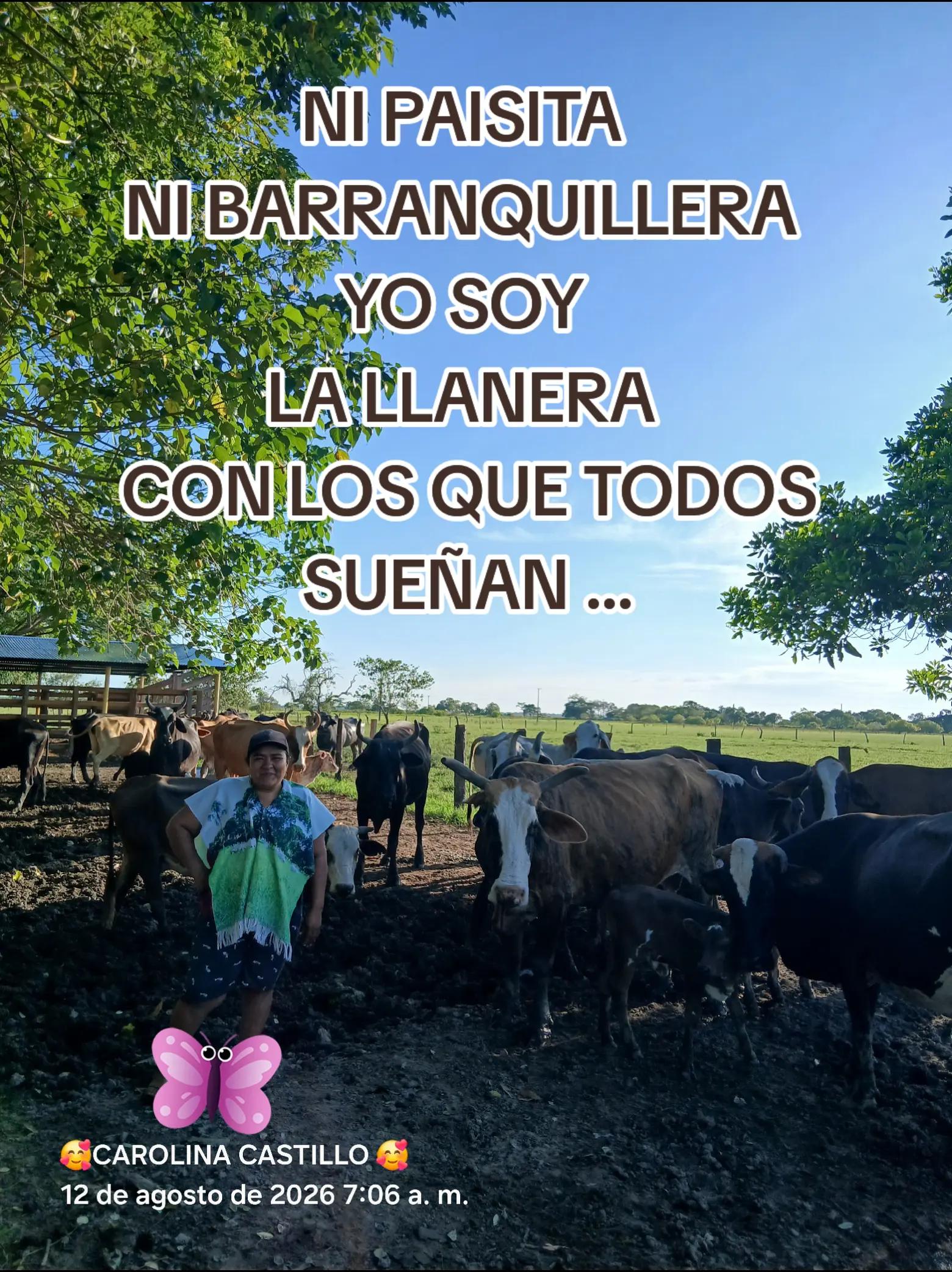 @CARITO C