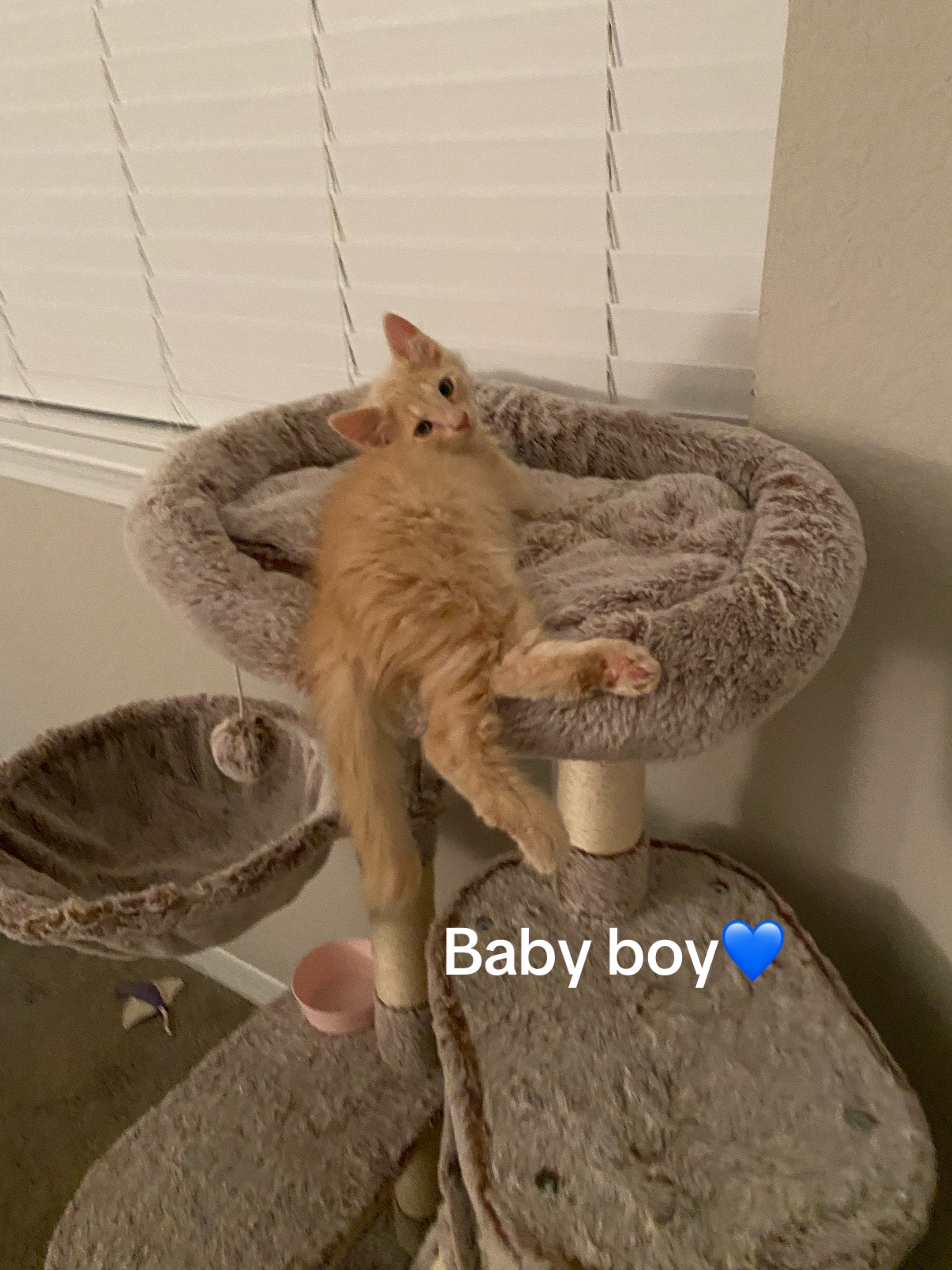 @alexandra+2cats