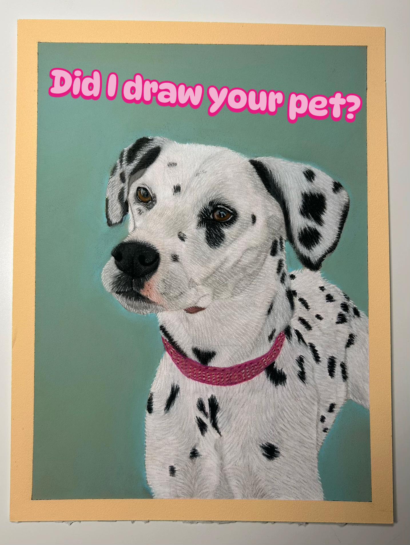 @Pet portraits