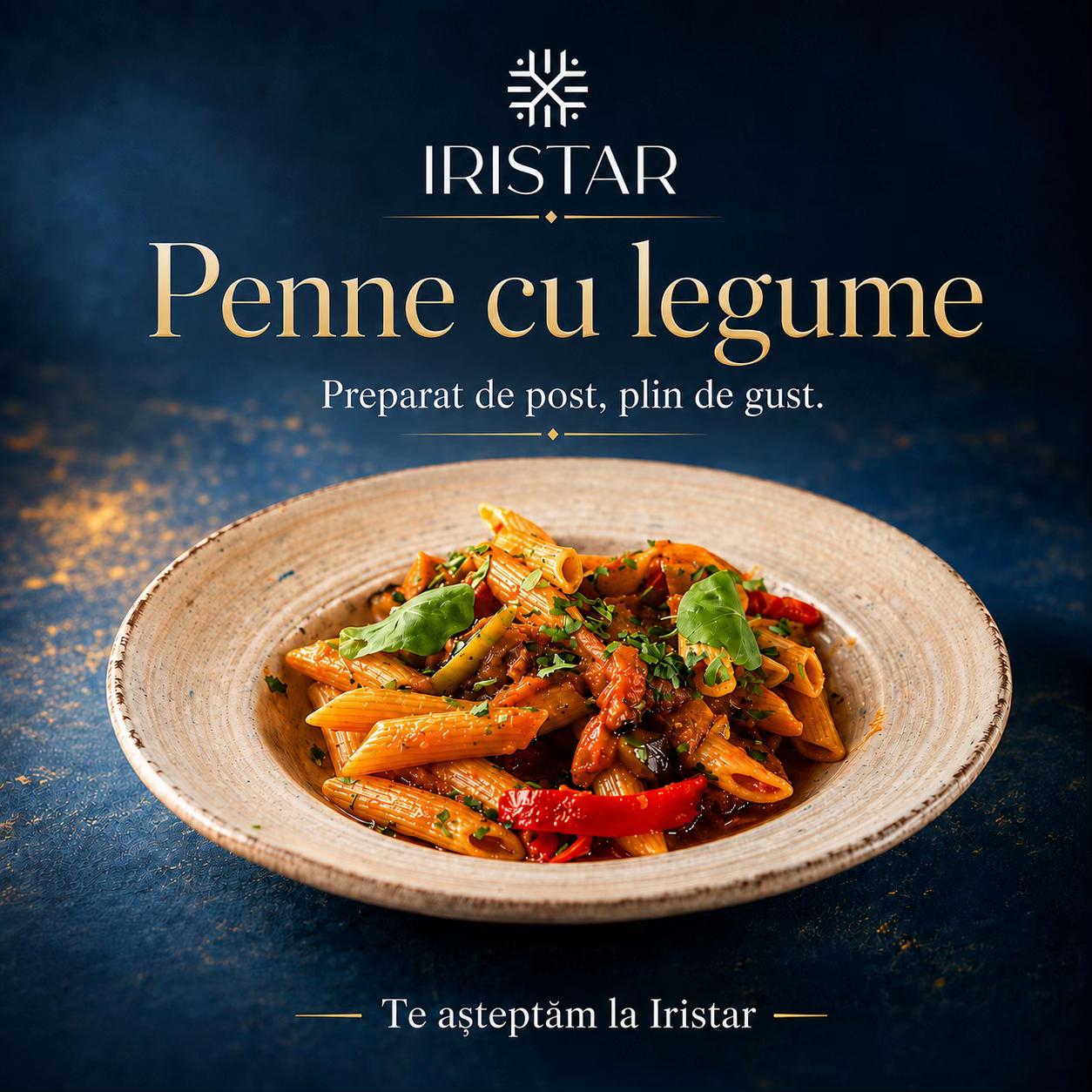 @Pensiunea Iristar Fălticeni ⭐️