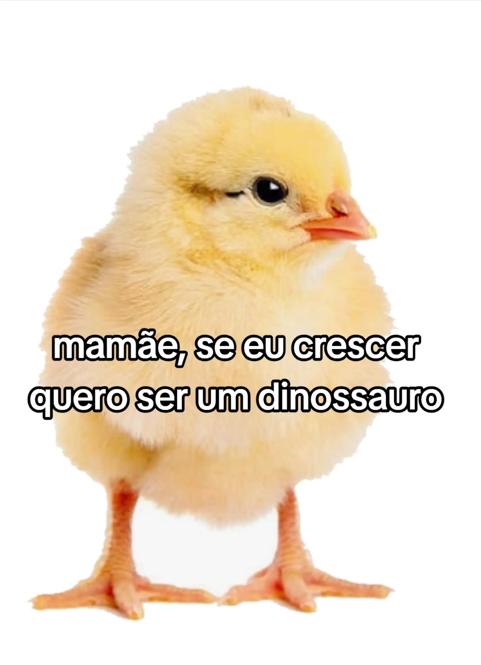 @joevim do Brasil