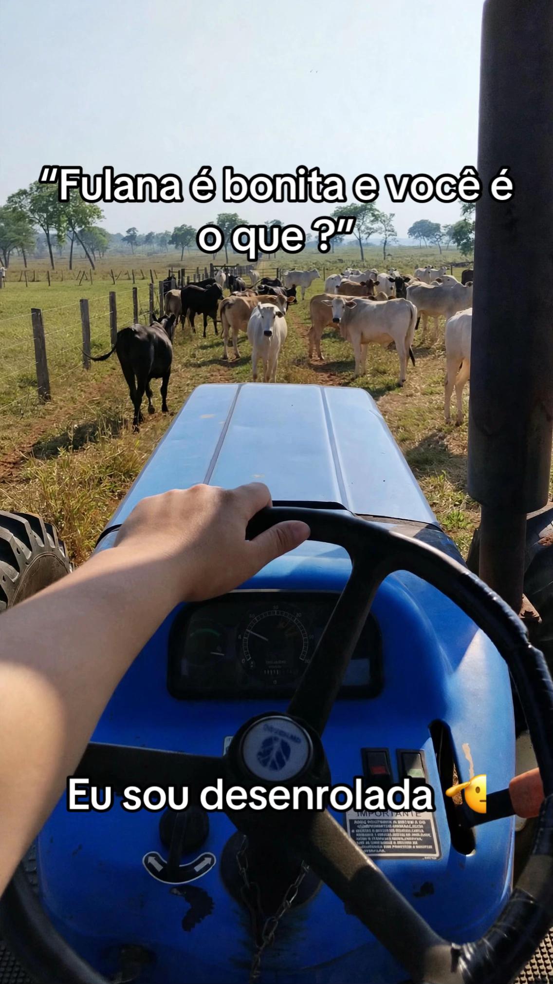 @Karolayne Benites