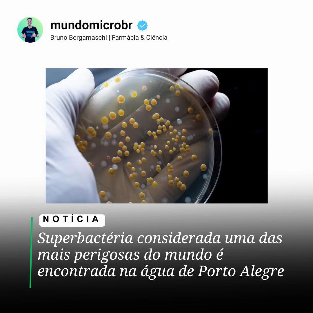 @mundomicrobr