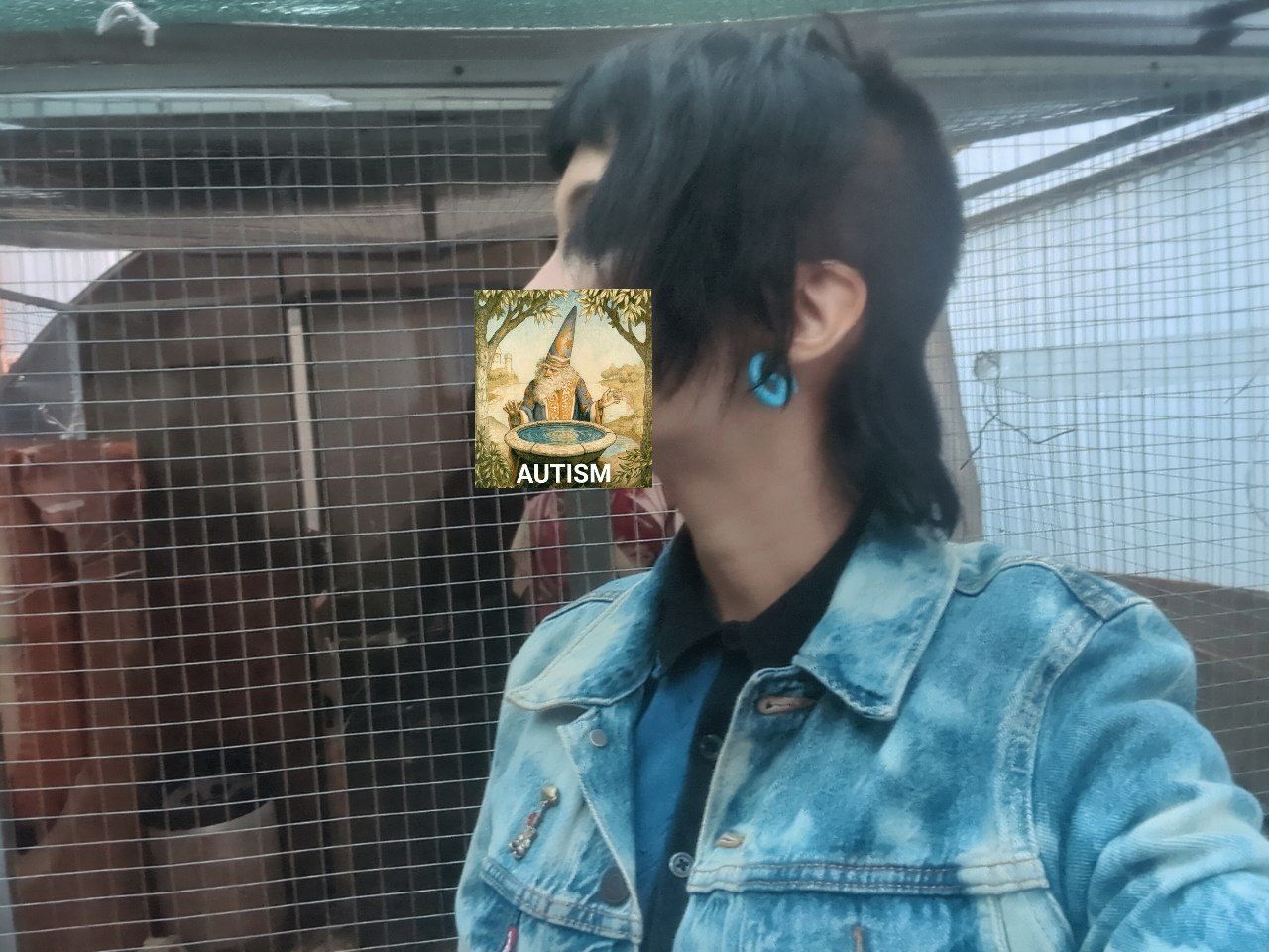 @回落