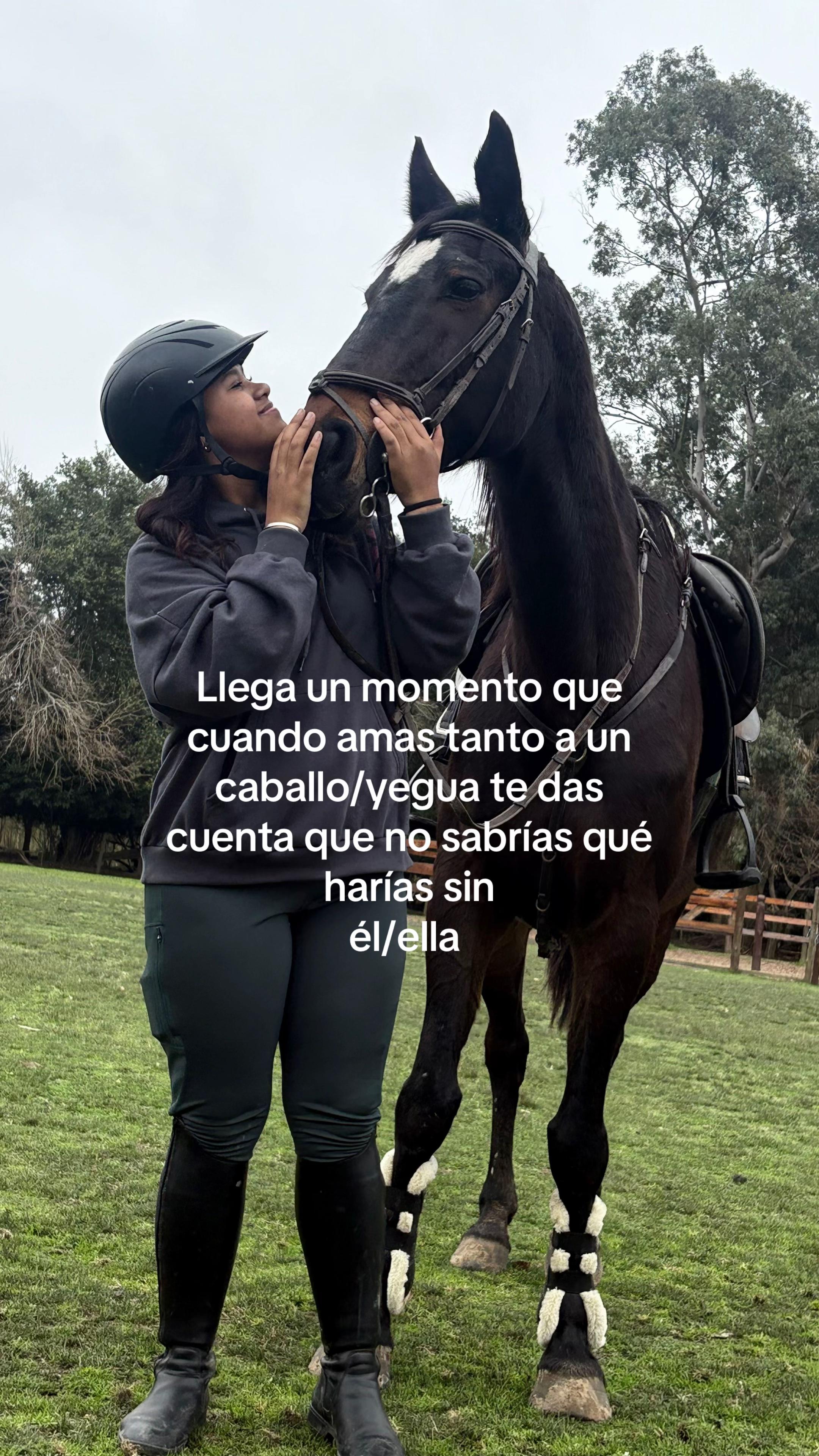 @lasjuanitas.equitacion