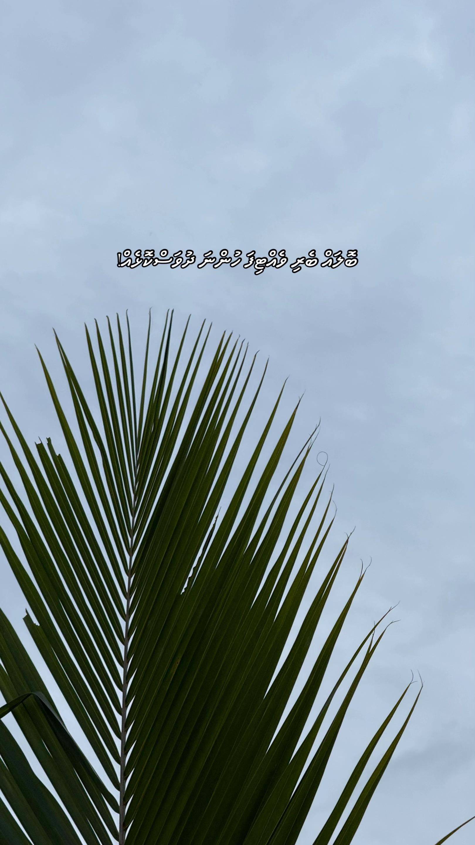 @𝔼𝕣𝕣𝕠𝕣𝟜𝟘𝟜