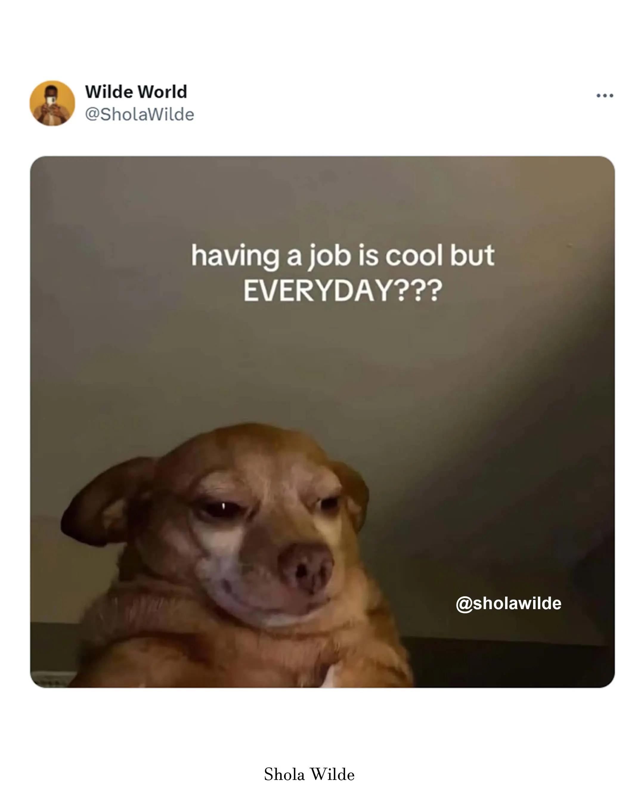 @Shola Wilde
