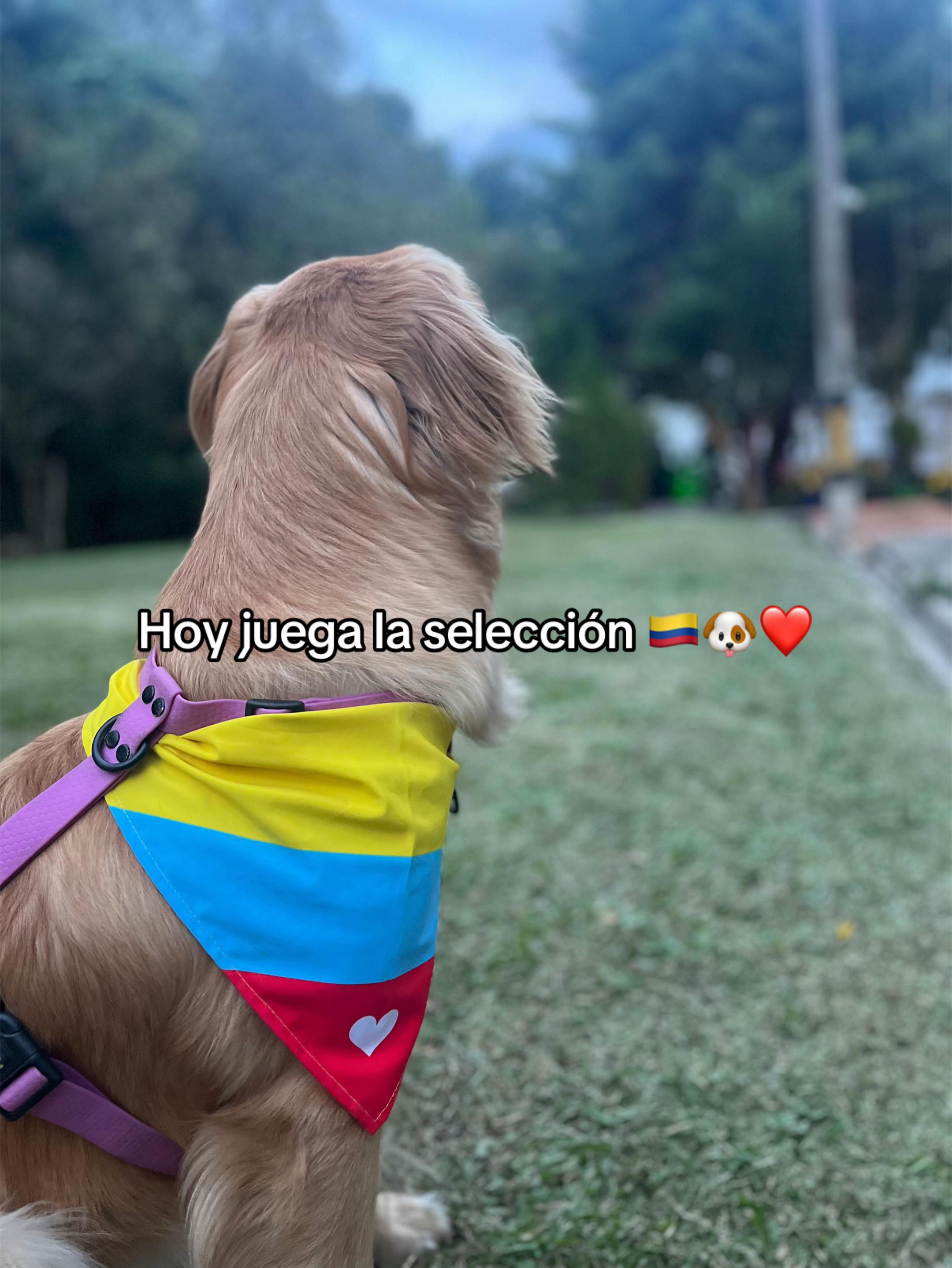 @Mila 🐶