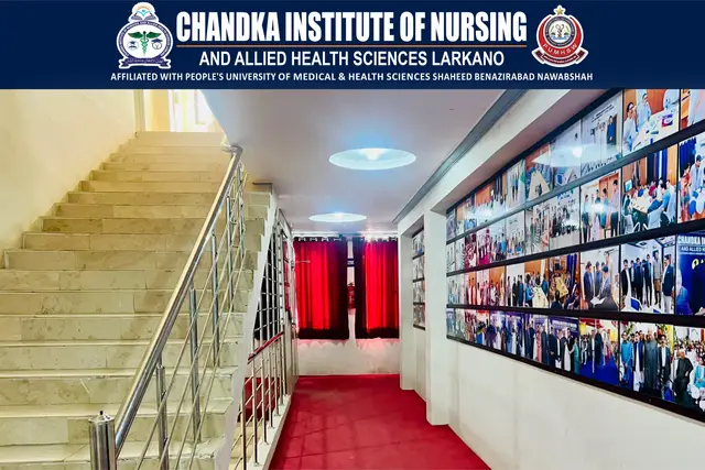 @Chandka Institute Nursing Lark