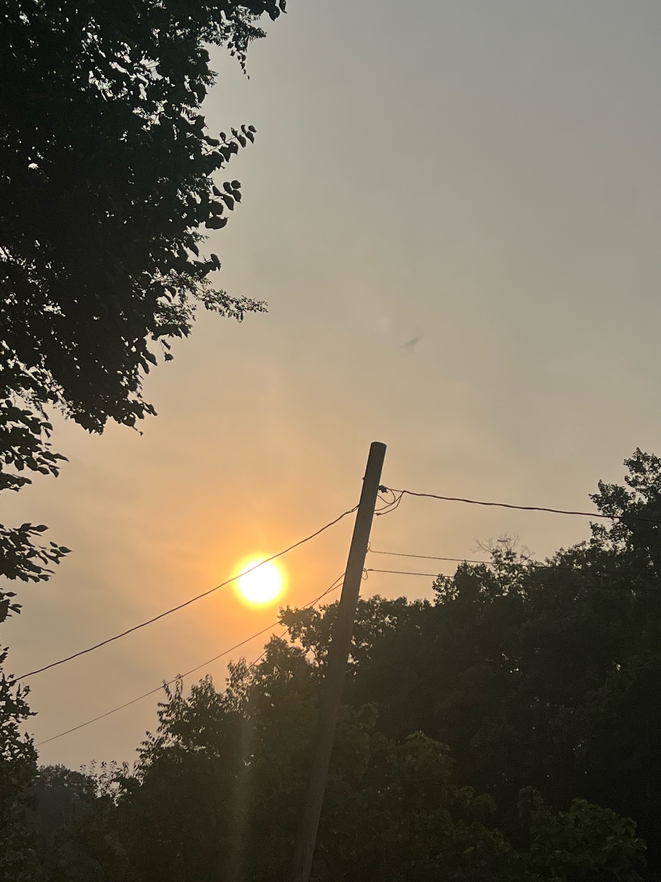 @Brandi 🌅🌄 🥉