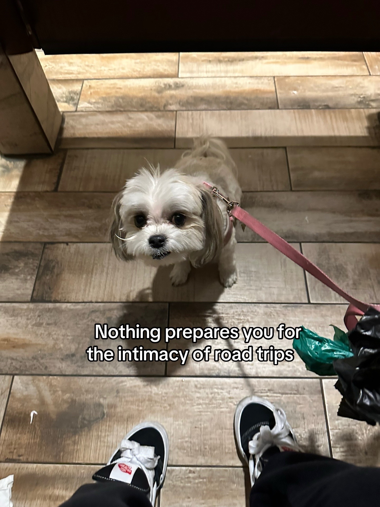 @babyg