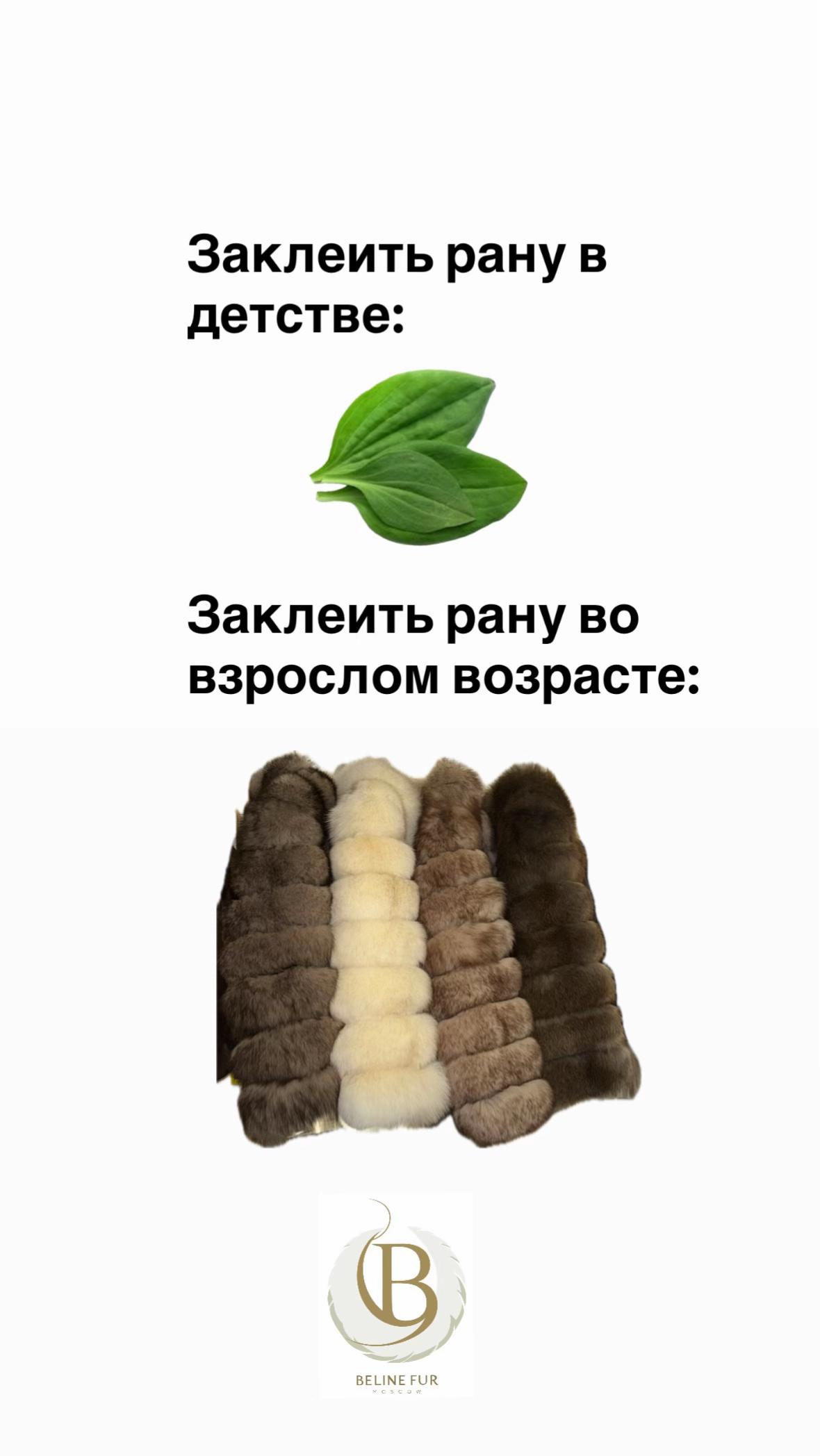 @beline_fur