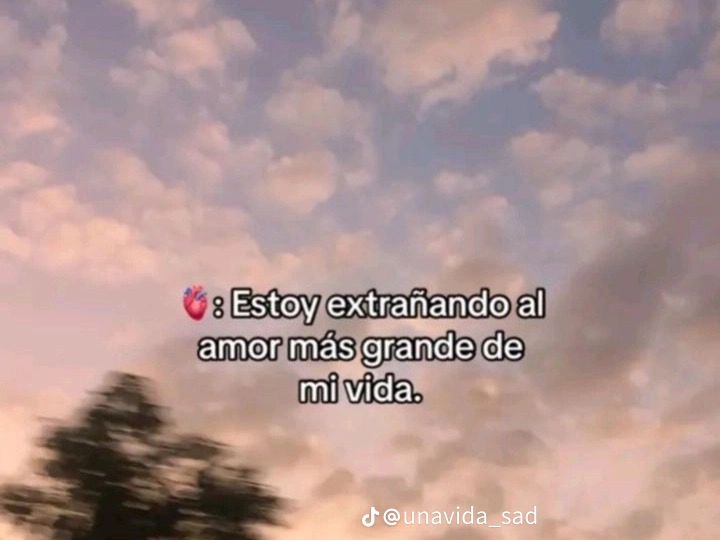 @mechita761