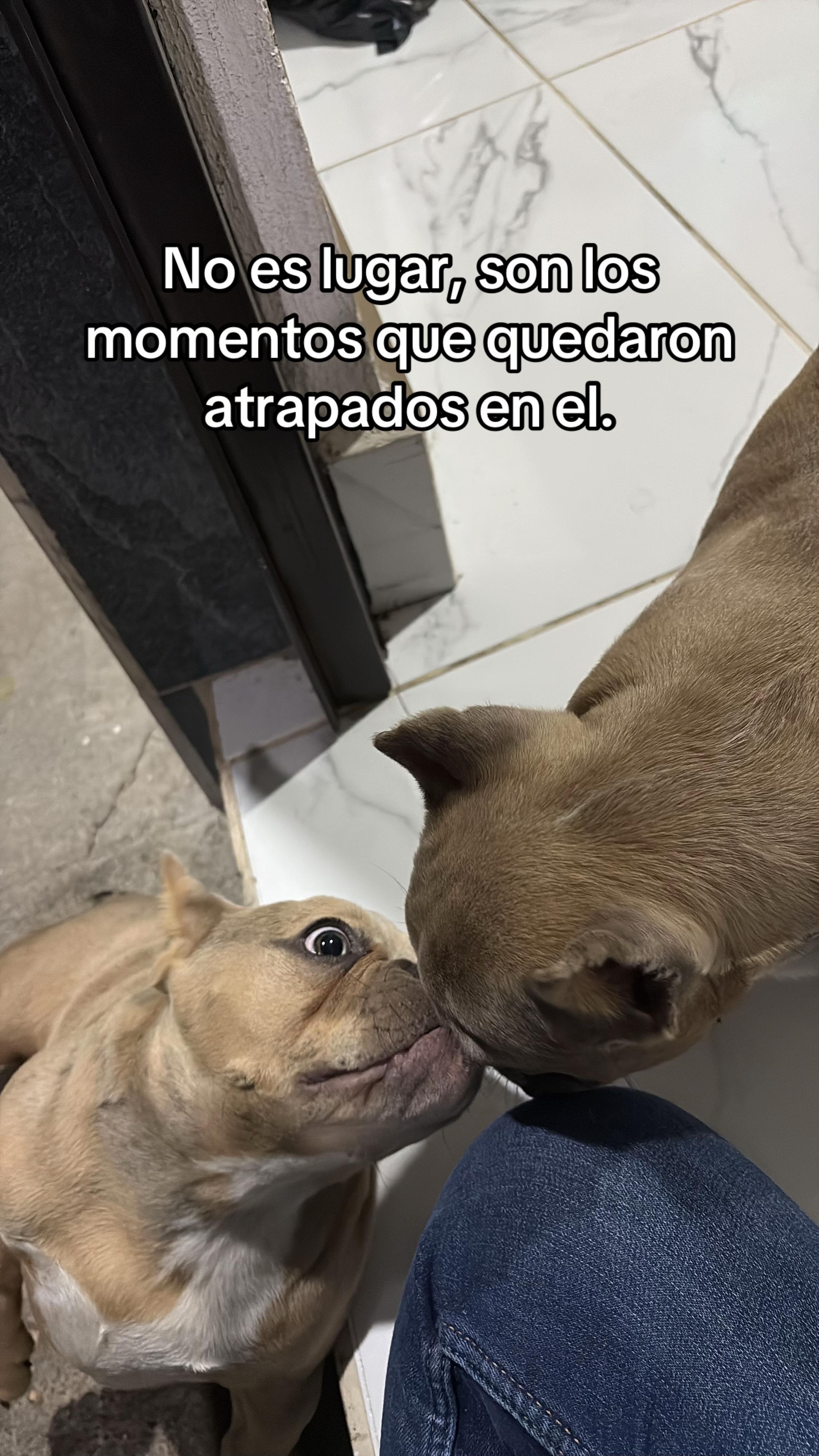 @🦋DianaMV🦋