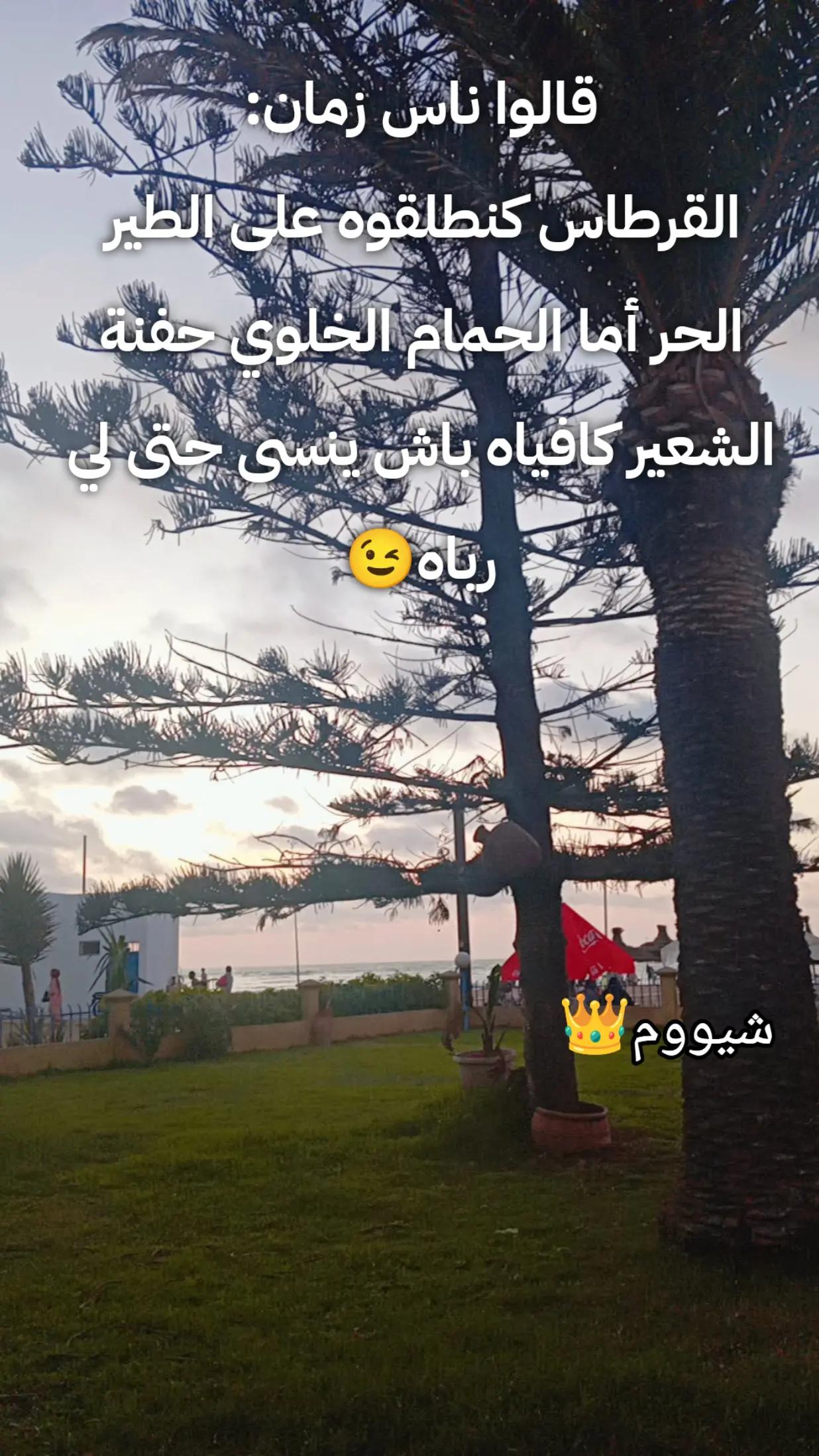 @شيووم👑