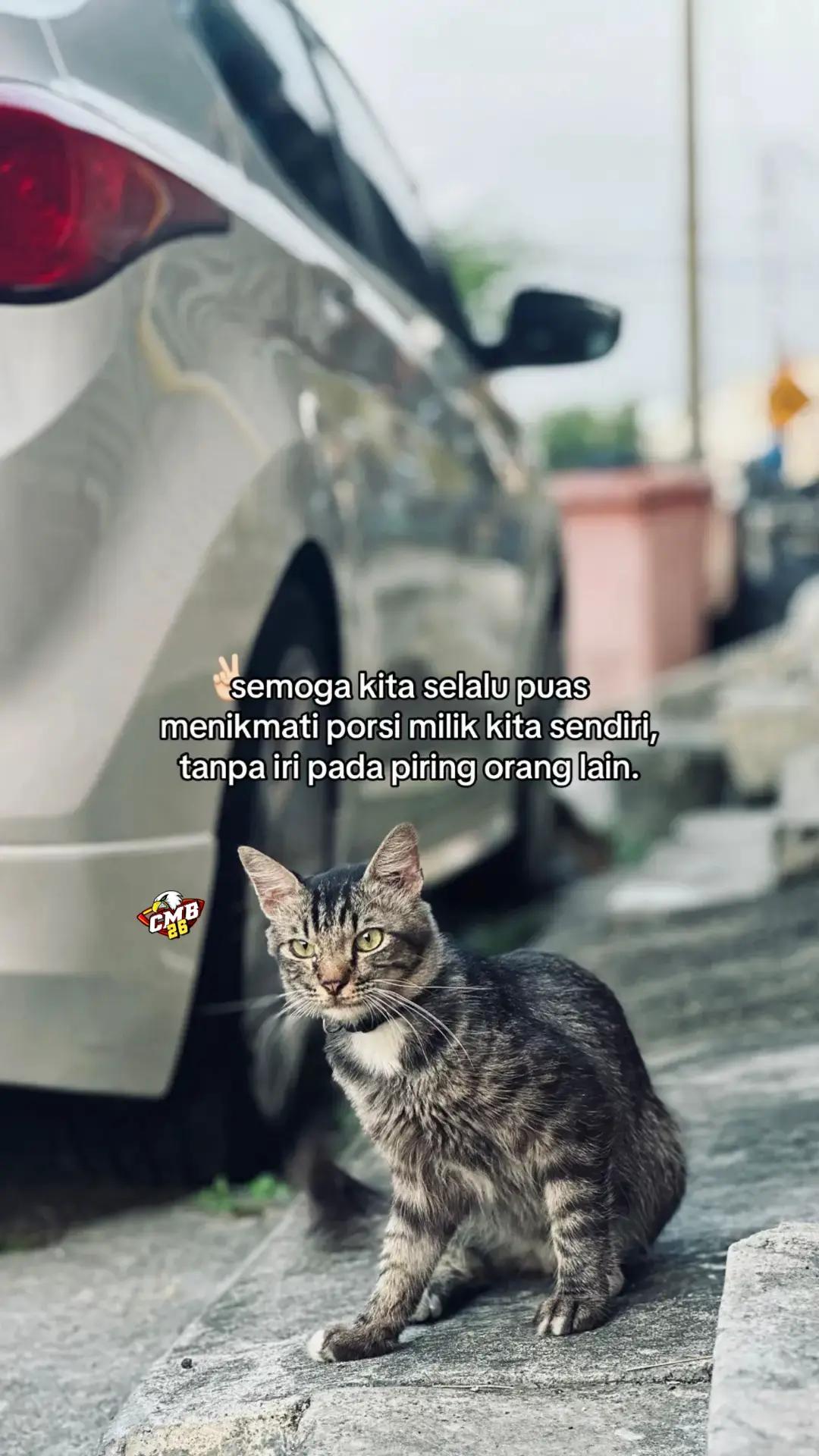 @Coretanmanusiabiasa