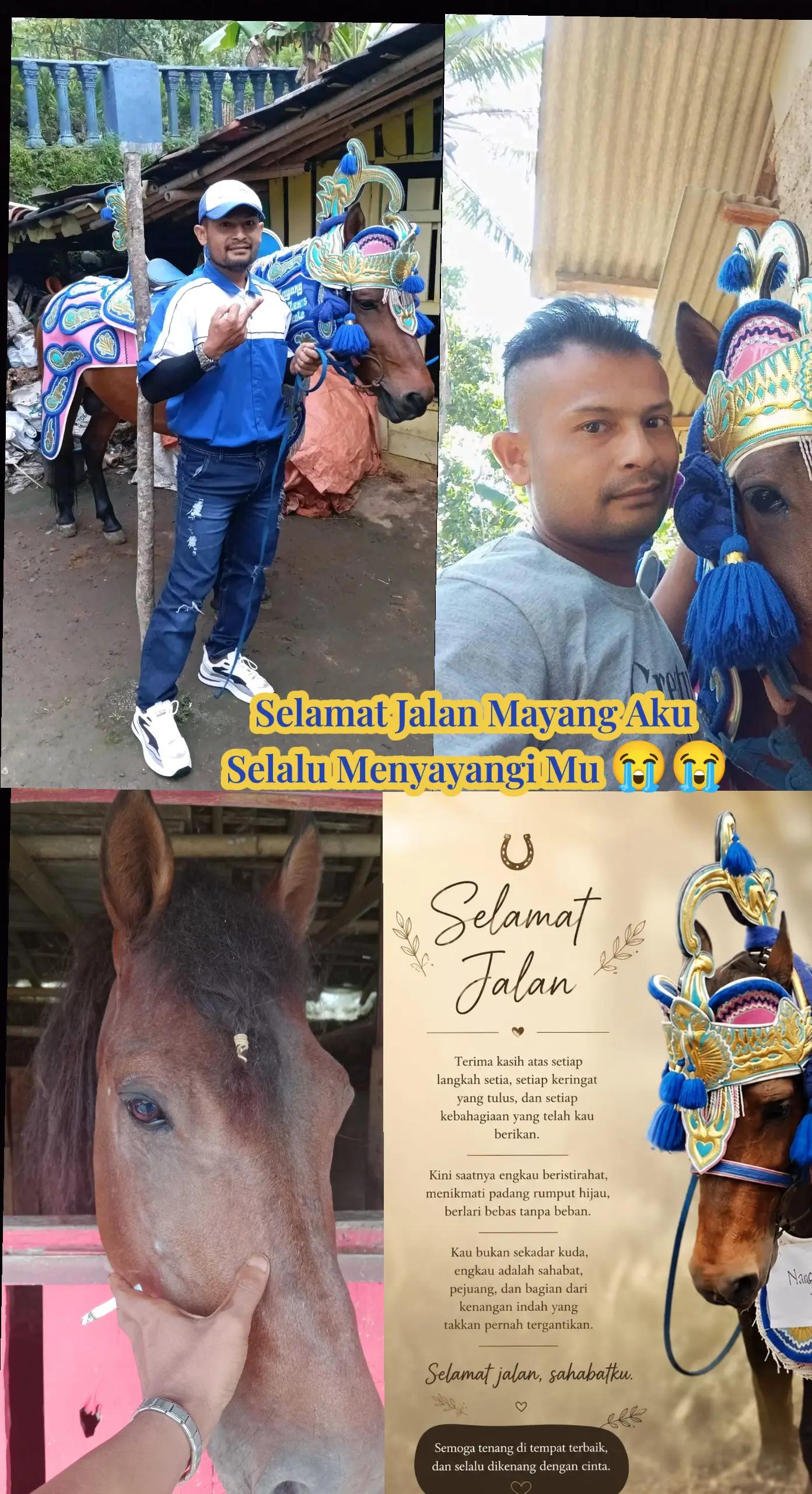 @𝓐𝔂𝓪𝓱 𝓐𝓯𝓭𝓪𝓷 🥰