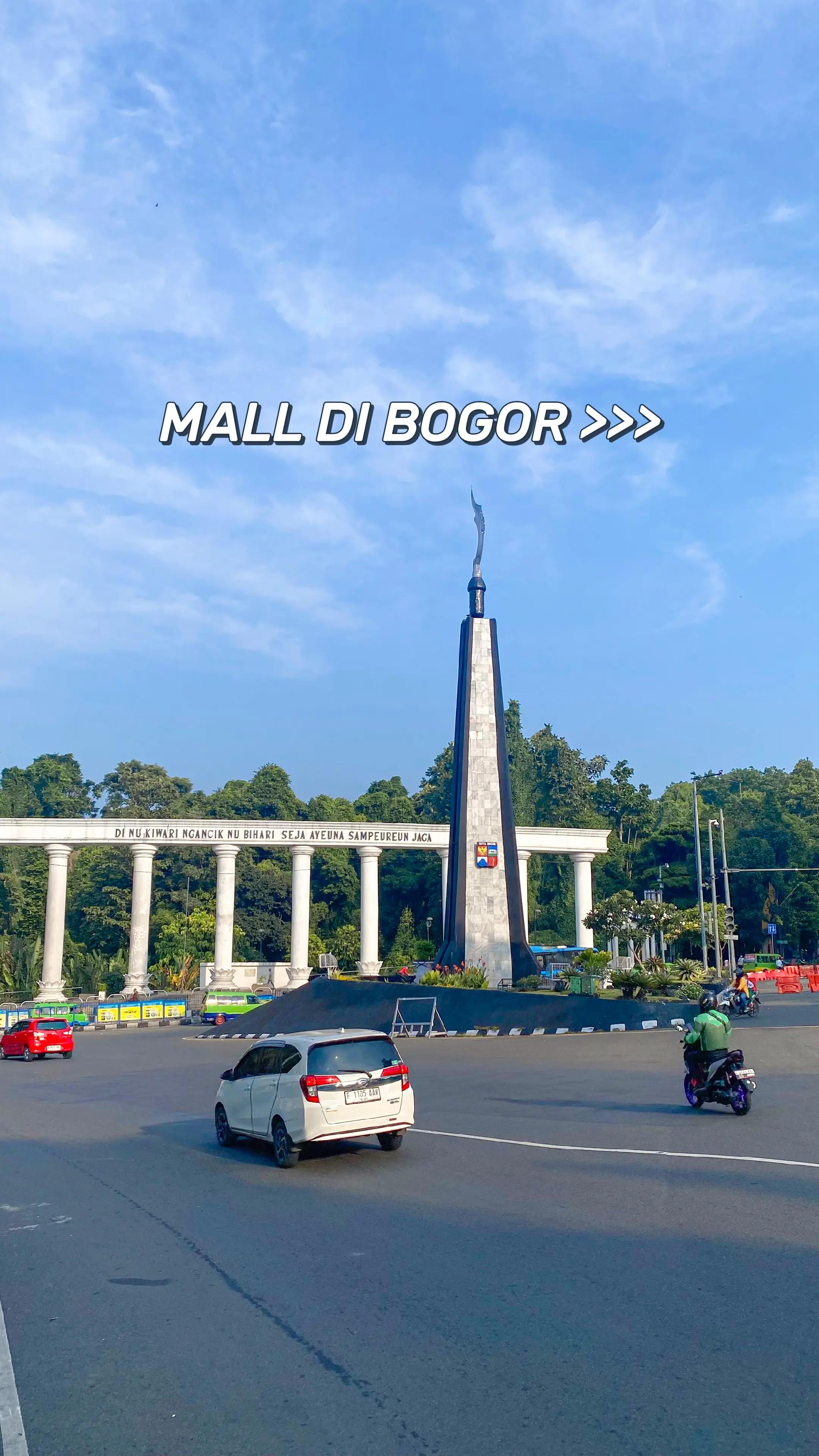 @bogorinside