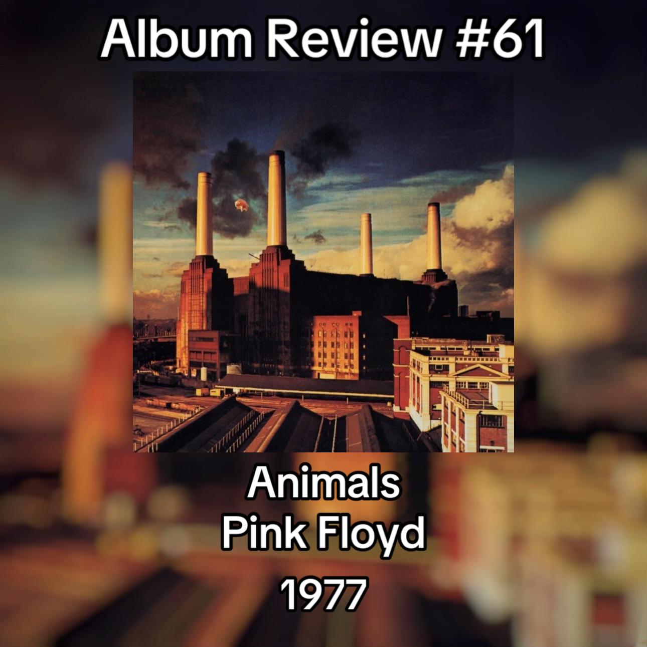 @SaulGoodmanReviews