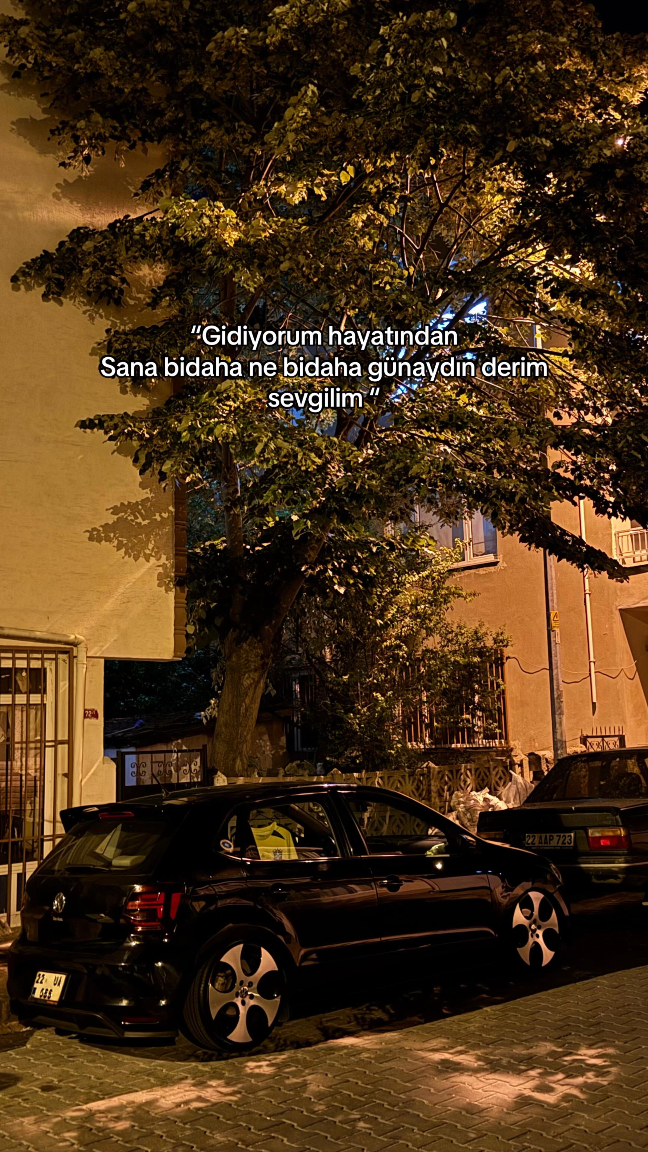 @Tuna