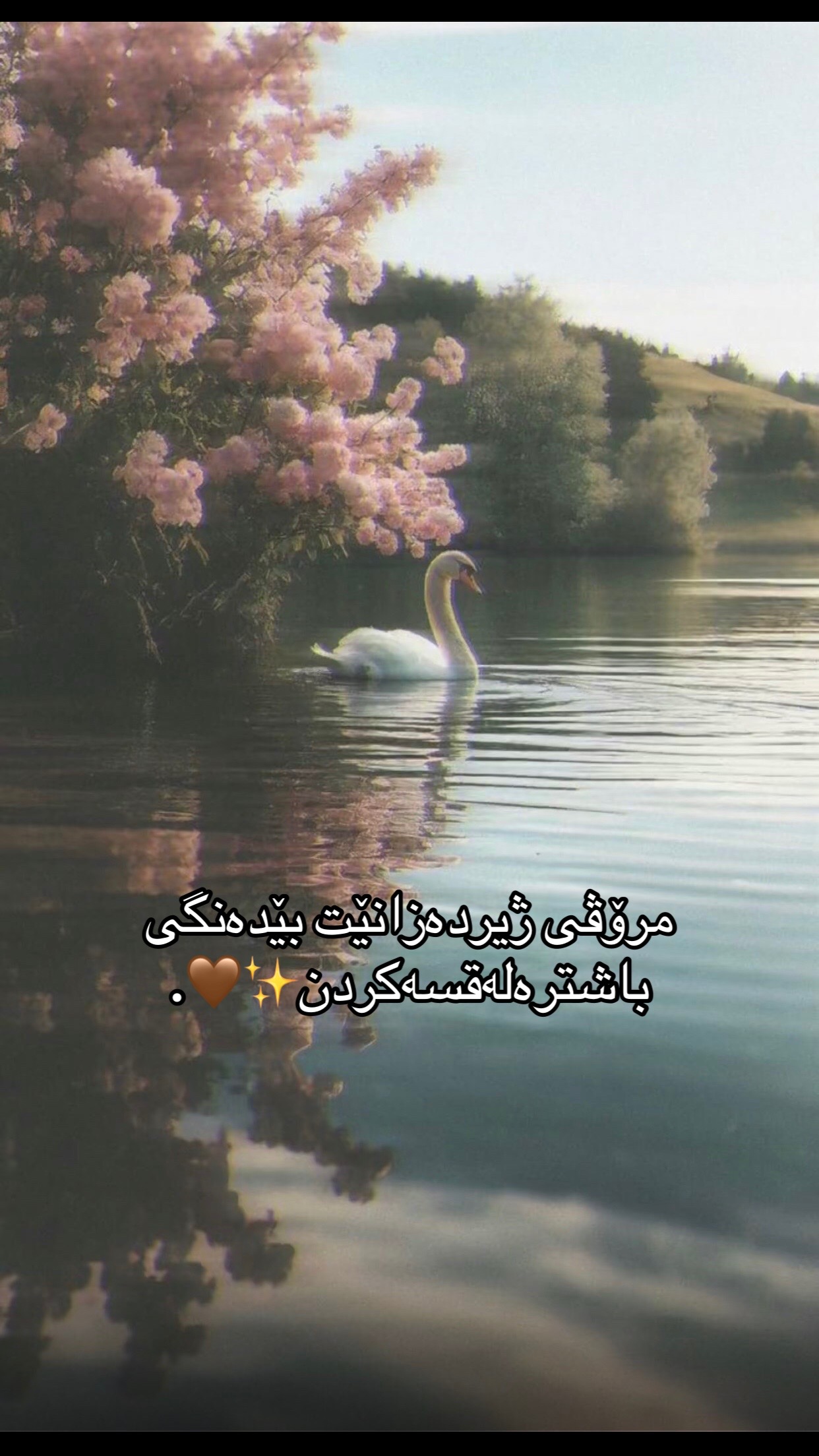 @﮼هەنا⚜️✨