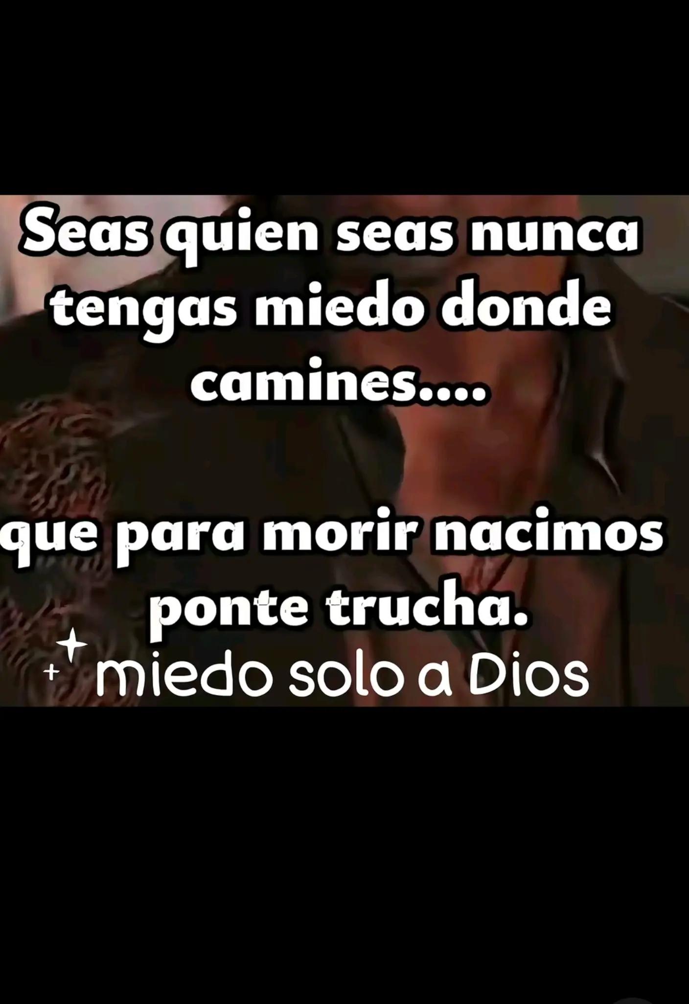 @elcheco88