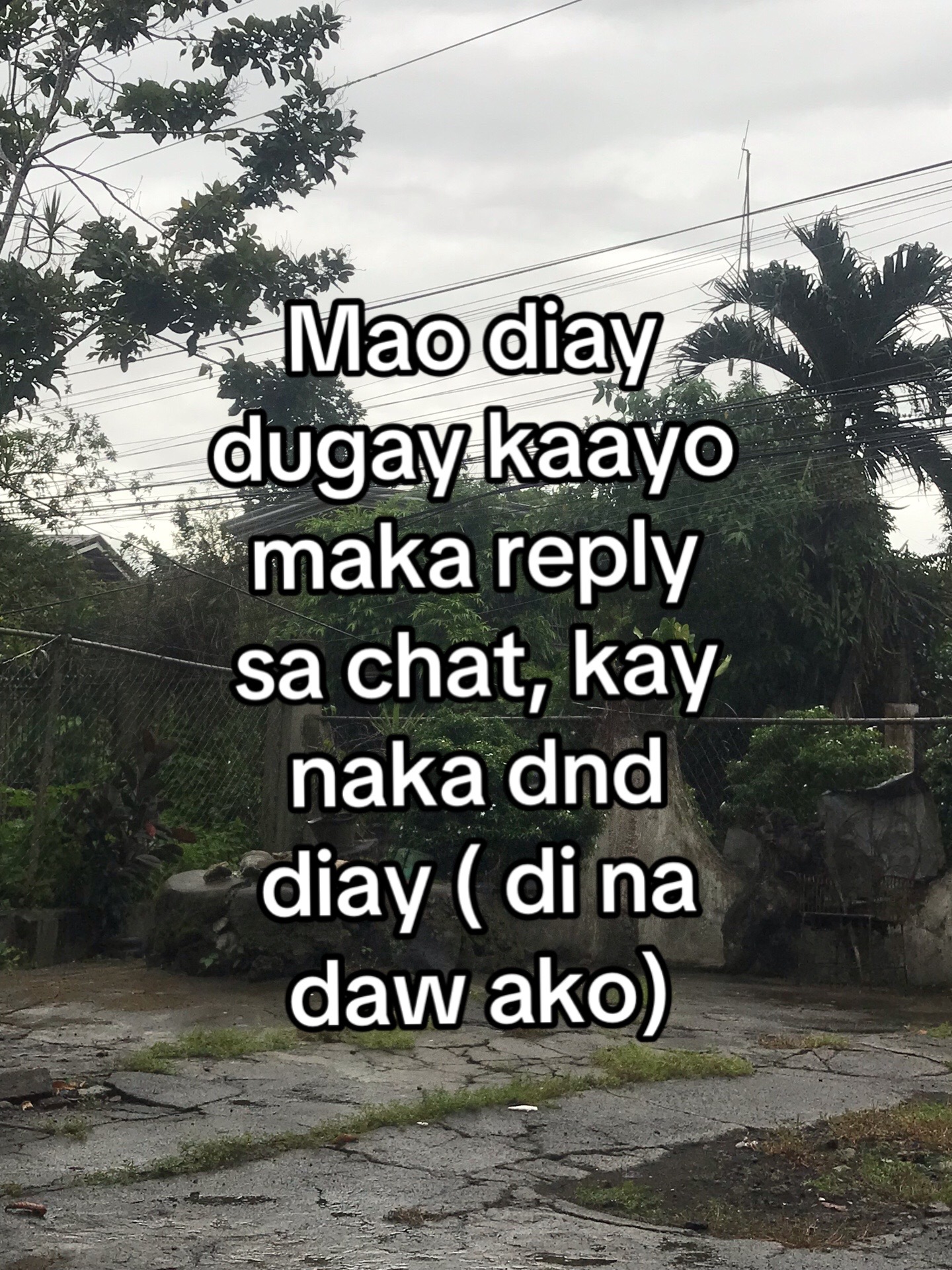@Dinasure🤪
