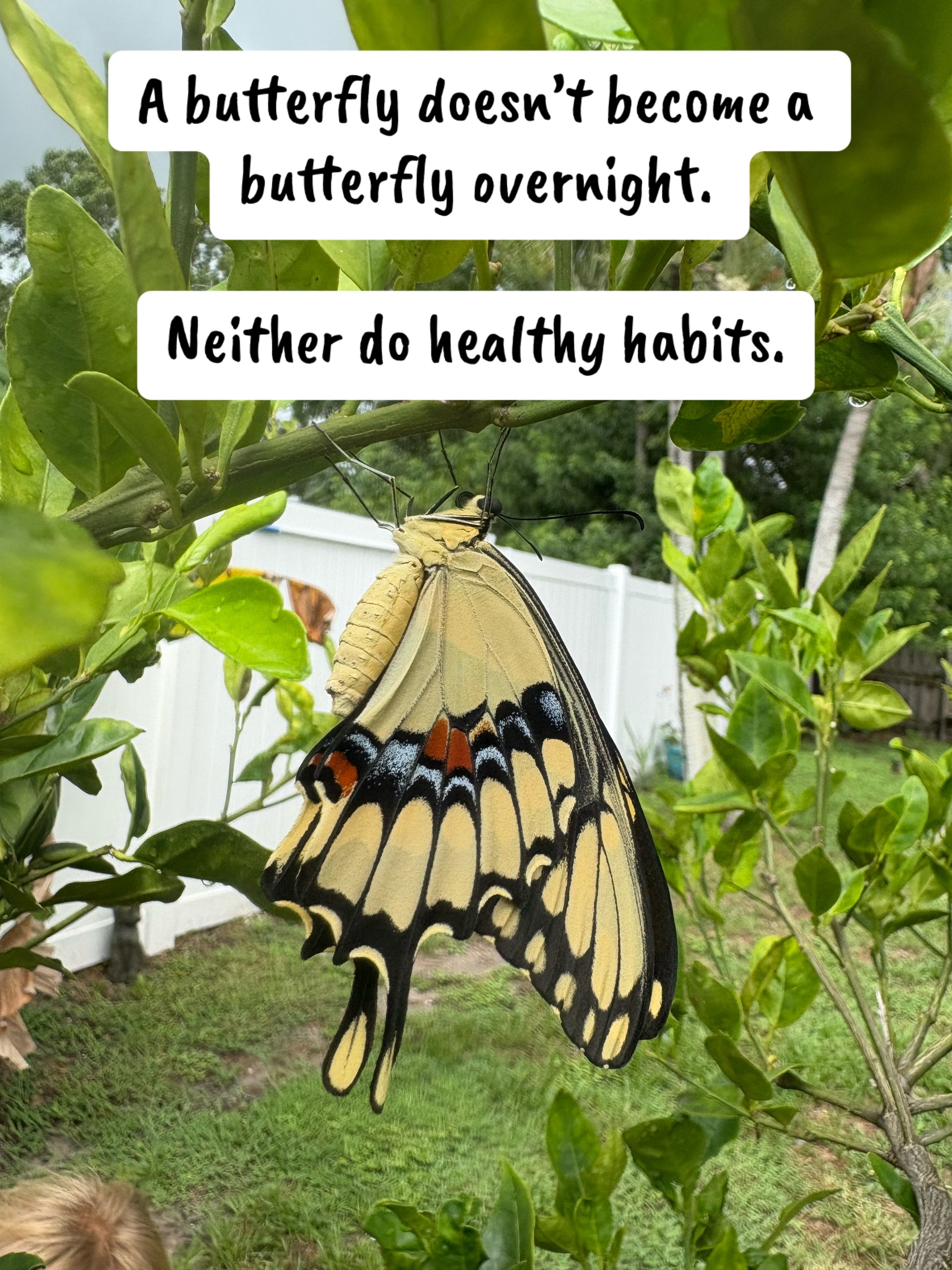 @onmywaytobeinghealthy