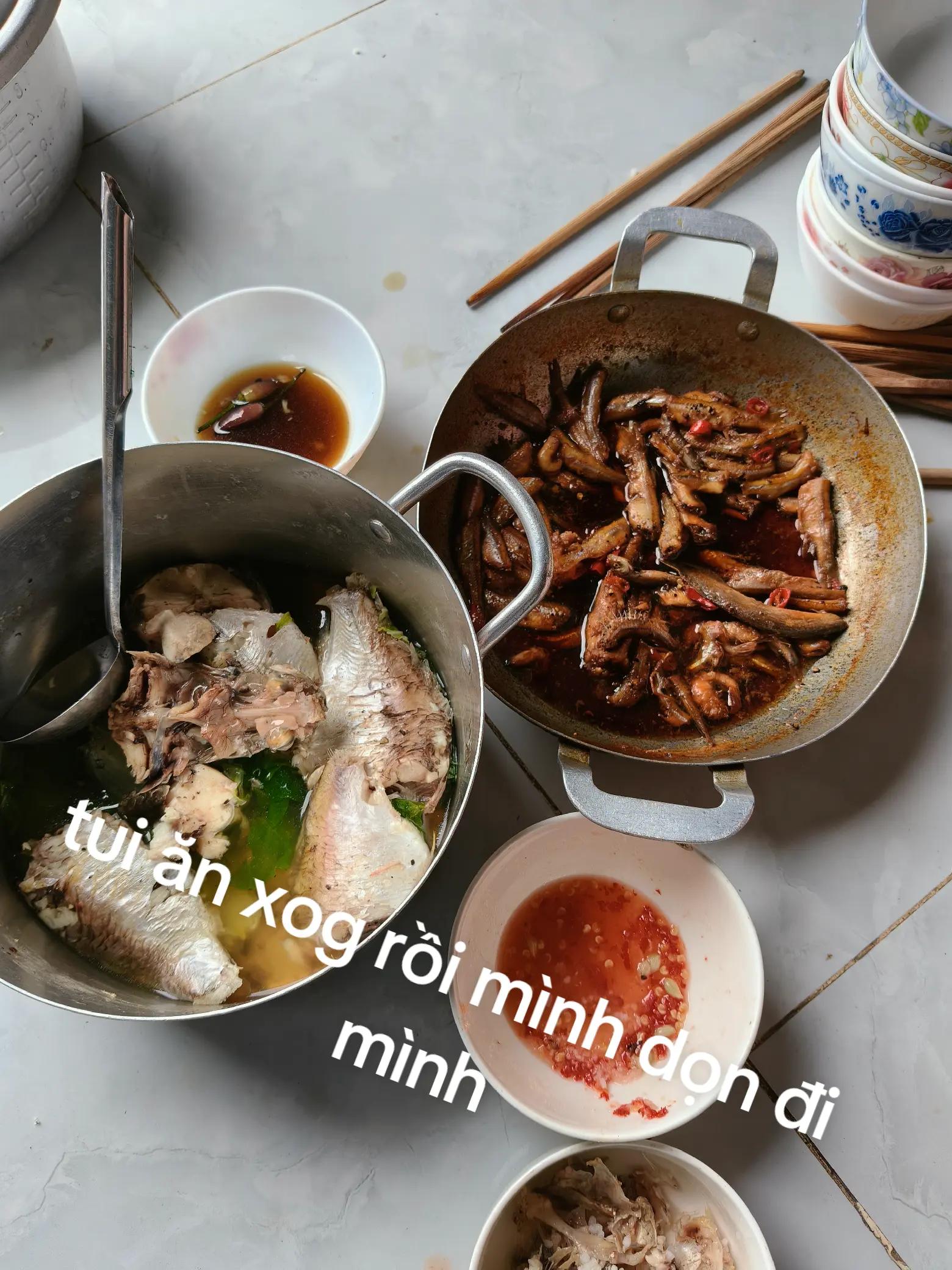 @🫶🫶Duang🌈🌈