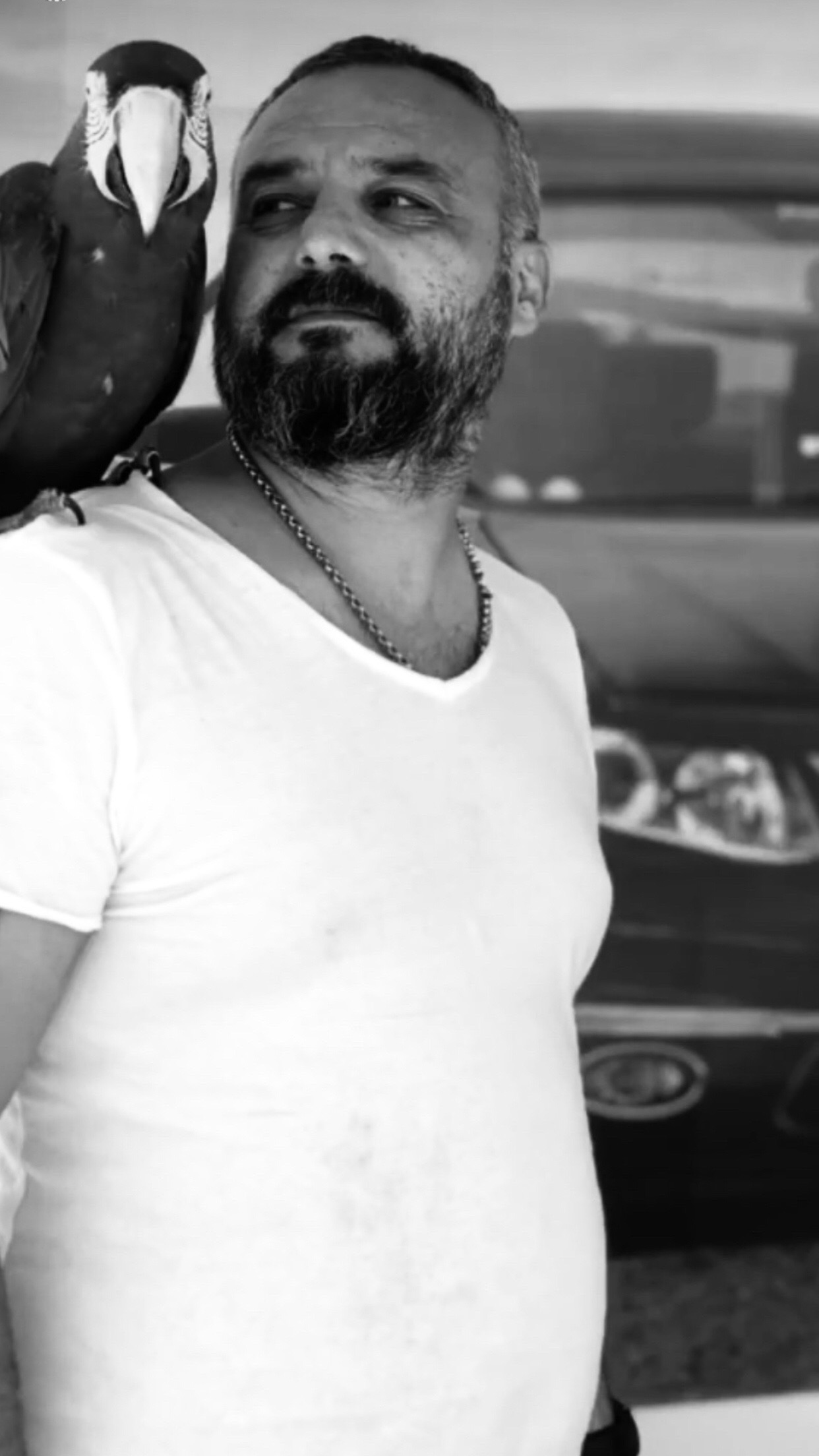 @Yavuz Şahin