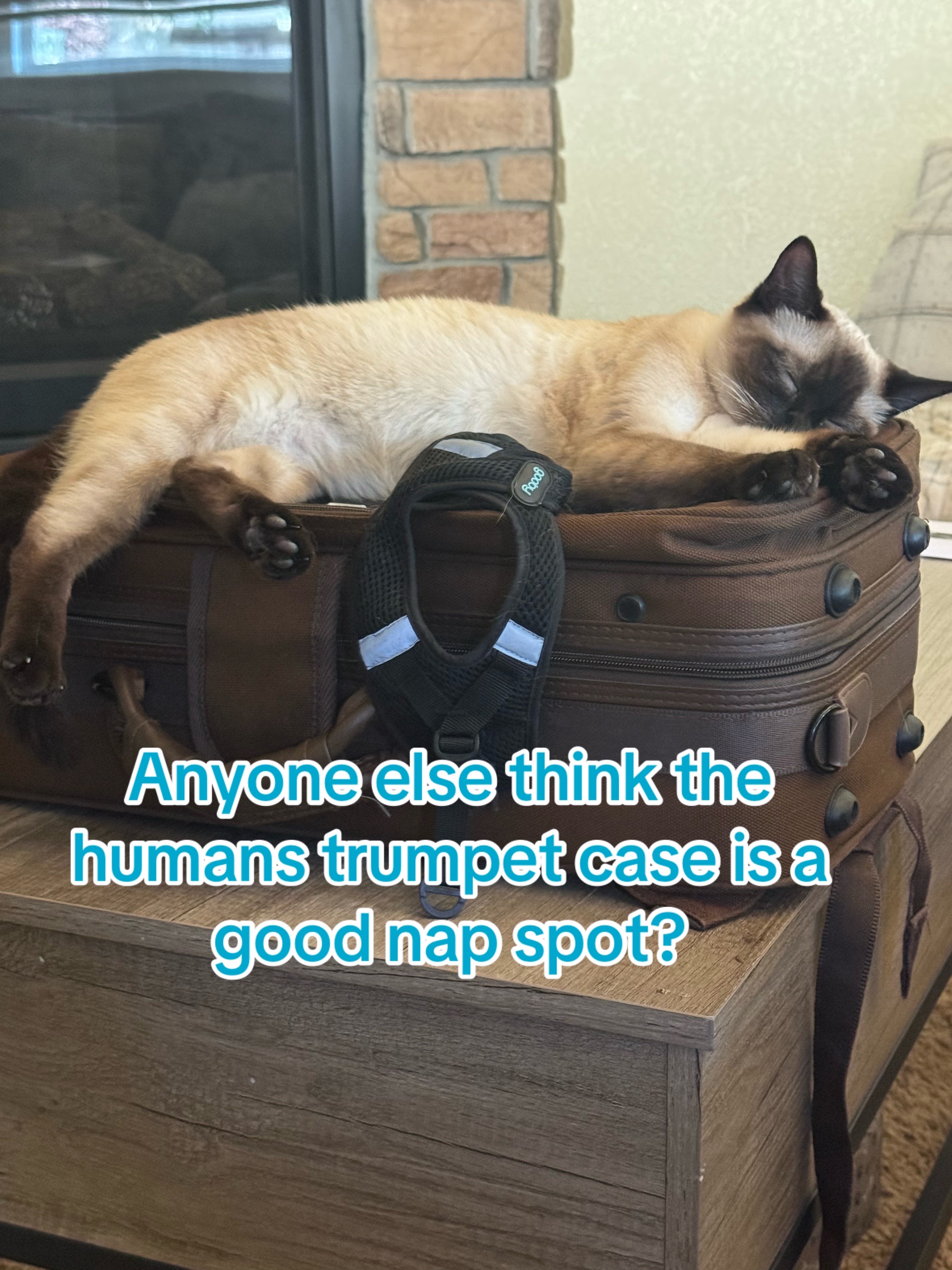 @SkippyJosAdventures